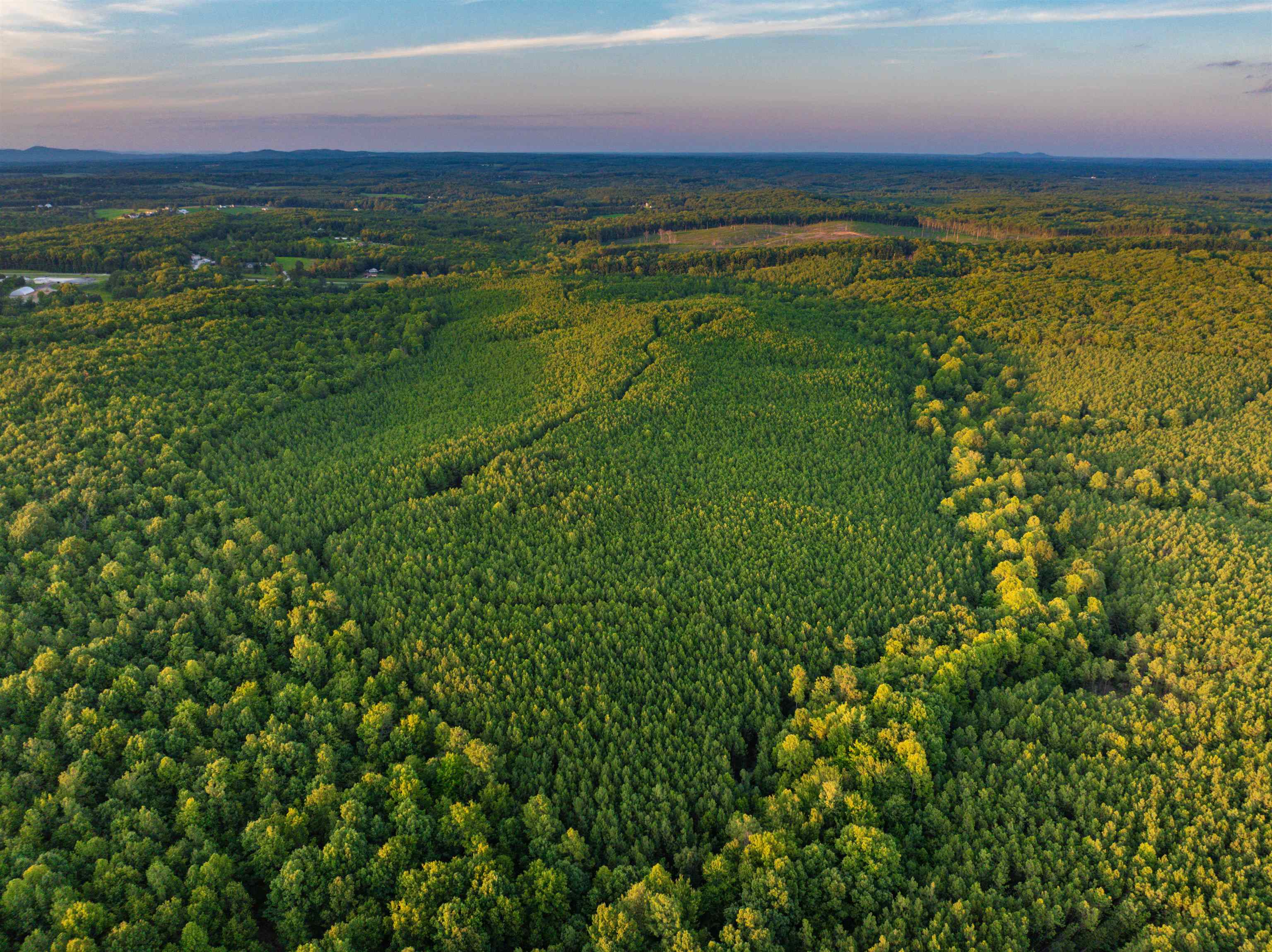 0 Mountain Cut Road Appomattox, VA 24522 - Photo 4 of 55 Gallery Image 4