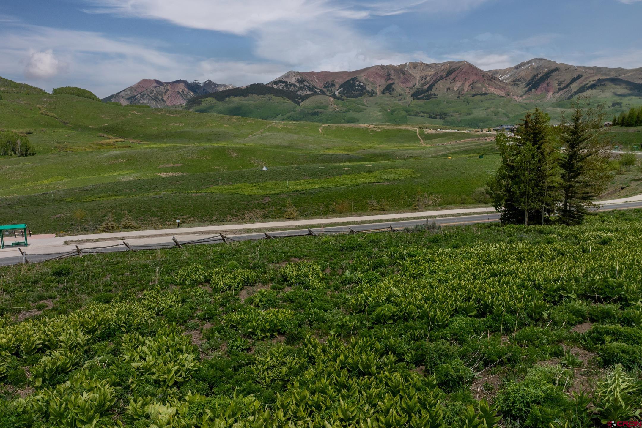 918 Gothic Road Crested Butte, CO 81225 - Photo 5 of 23