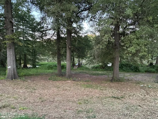 $6,000 | No Lakeshore Street, Itta Bena, MS 38941