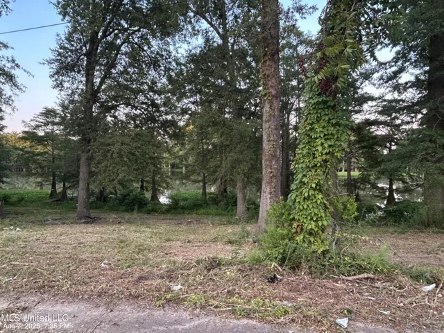 $6,000 | No Lakeshore Street, Itta Bena, MS 38941