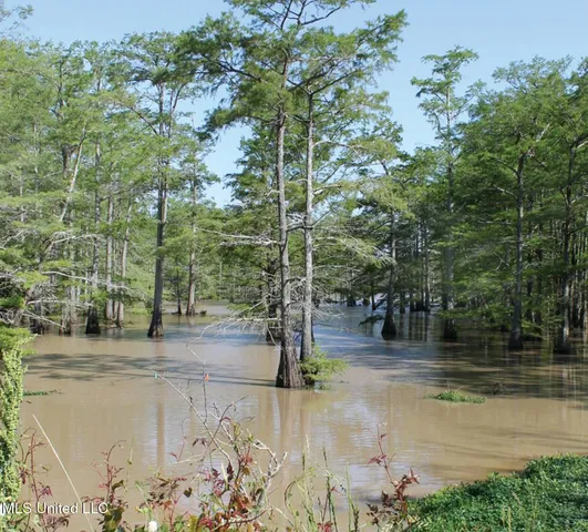$6,000 | No Lakeshore Street, Itta Bena, MS 38941