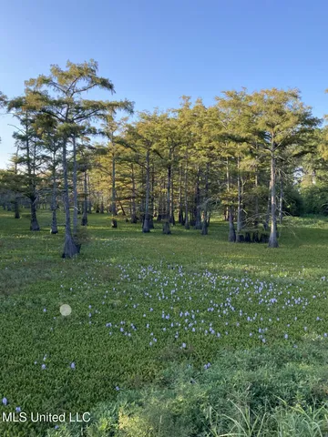 $6,000 | No Lakeshore Street, Itta Bena, MS 38941