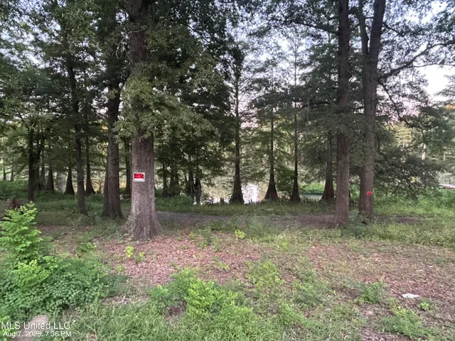 $6,000 | No Lakeshore Street, Itta Bena, MS 38941