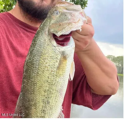 $6,000 | No Lakeshore Street, Itta Bena, MS 38941