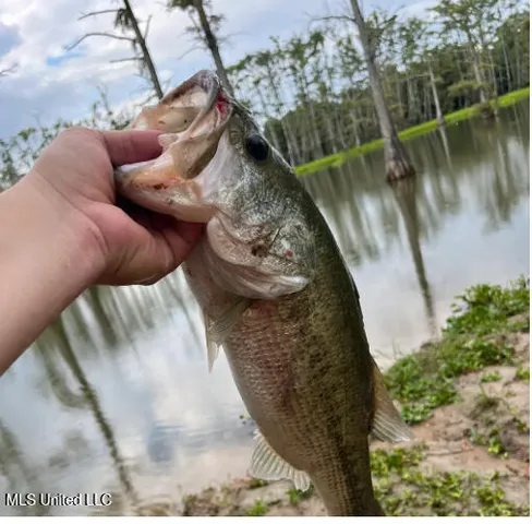 $6,000 | No Lakeshore Street, Itta Bena, MS 38941