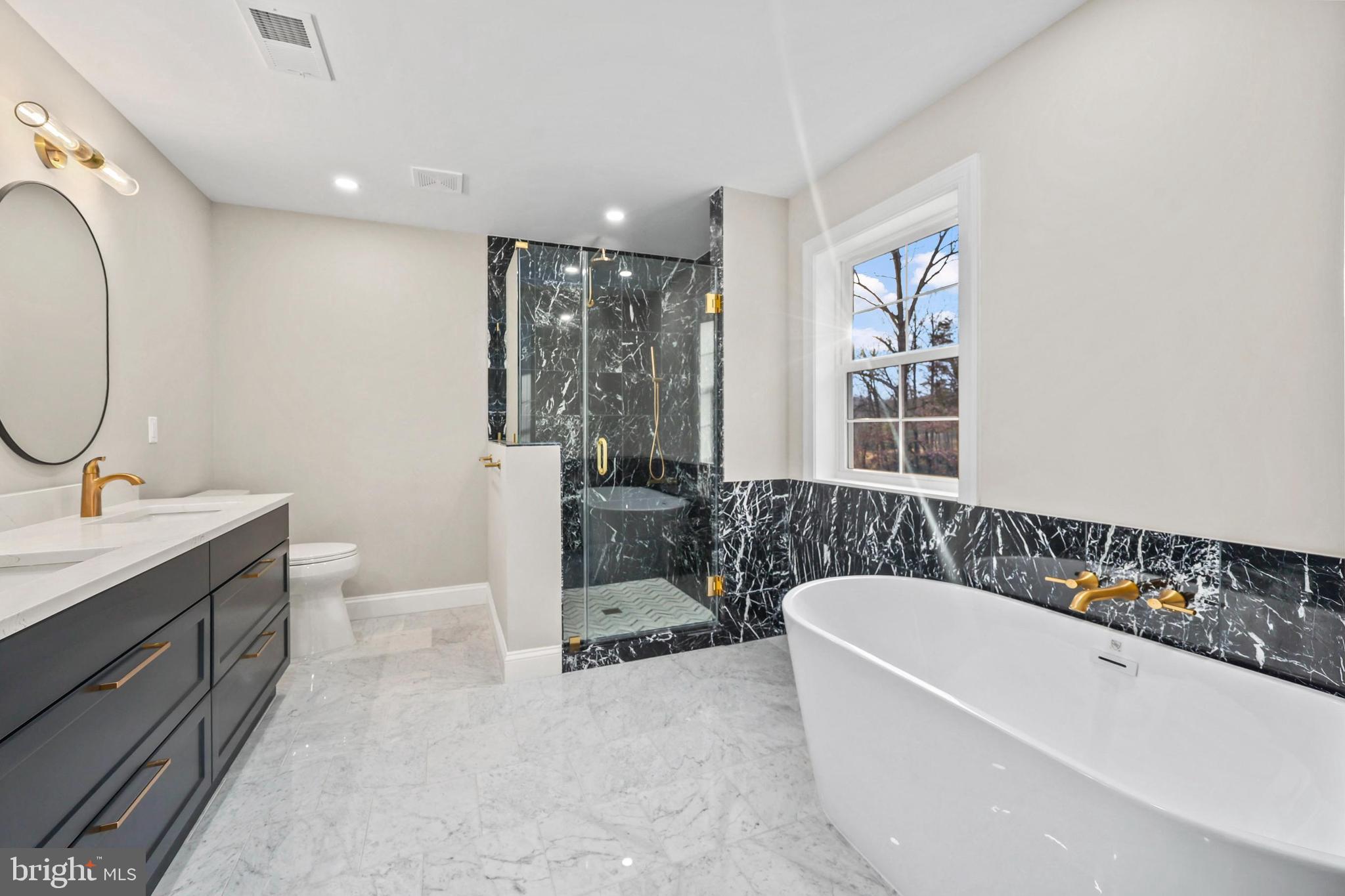 5393 Merry Oaks Road The Plains, VA 20198 - Photo 28 of 58 a spacious bathroom with a tub a sink and mirror