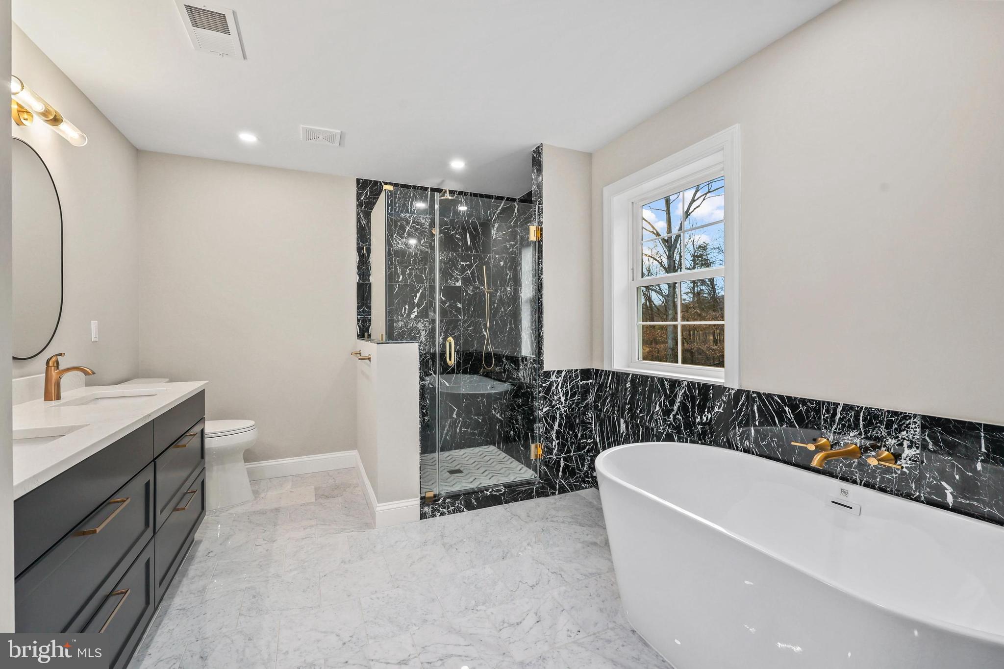 5393 Merry Oaks Road The Plains, VA 20198 - Photo 31 of 58 a spacious bathroom with a tub a sink and mirror