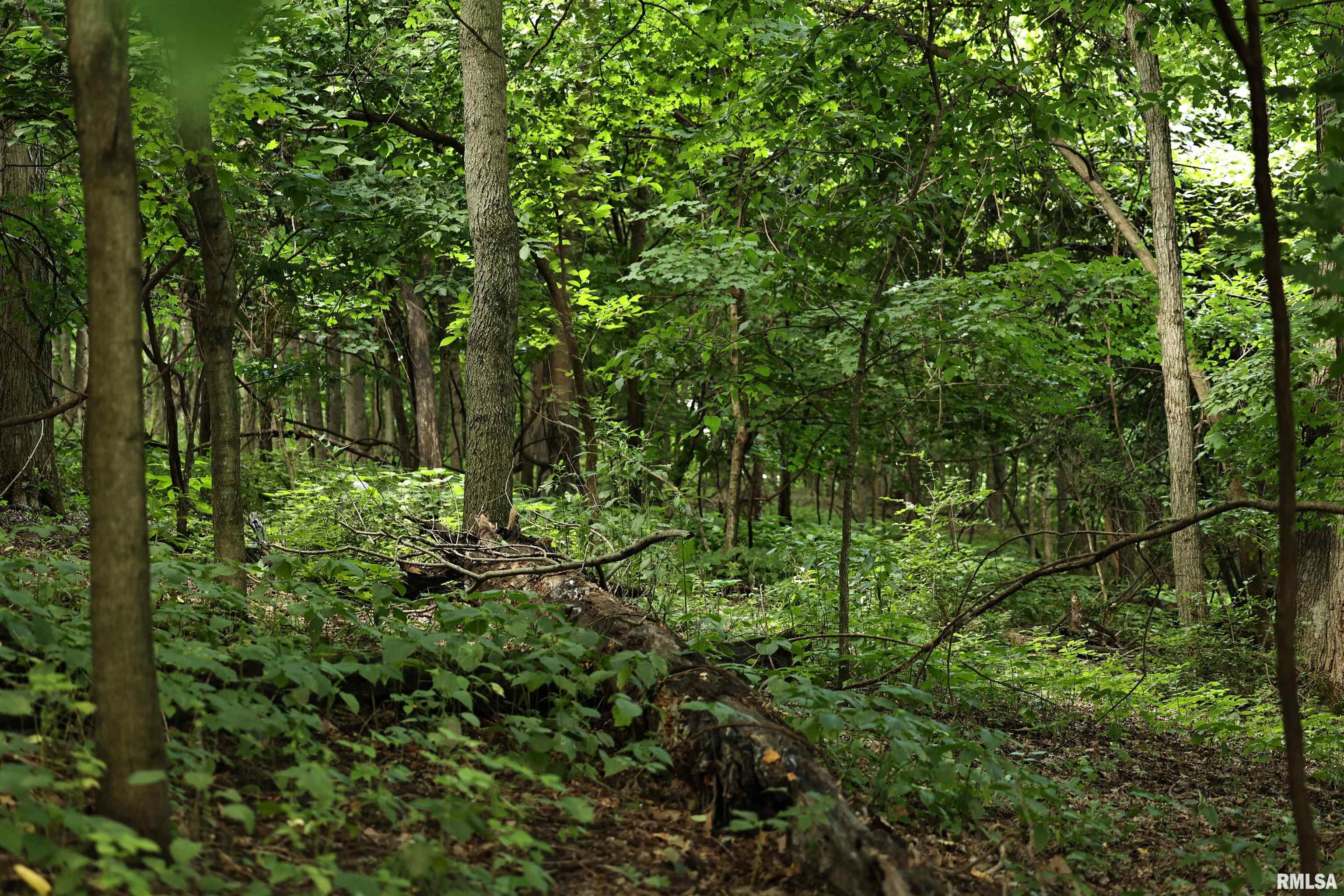 0 205th Street Kinderhook, IL 62345 - Photo 11 of 49
