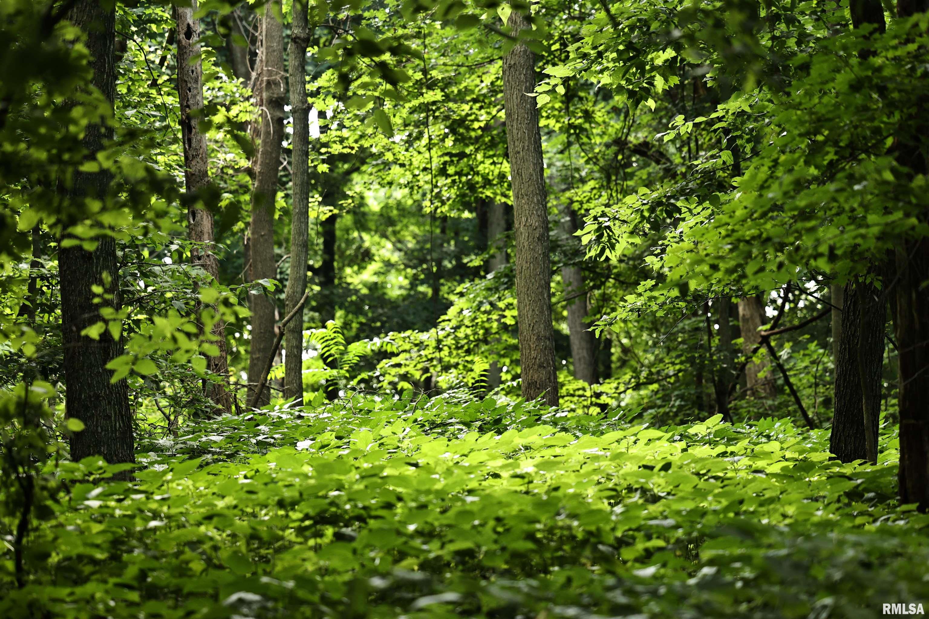 0 205th Street Kinderhook, IL 62345 - Photo 12 of 49