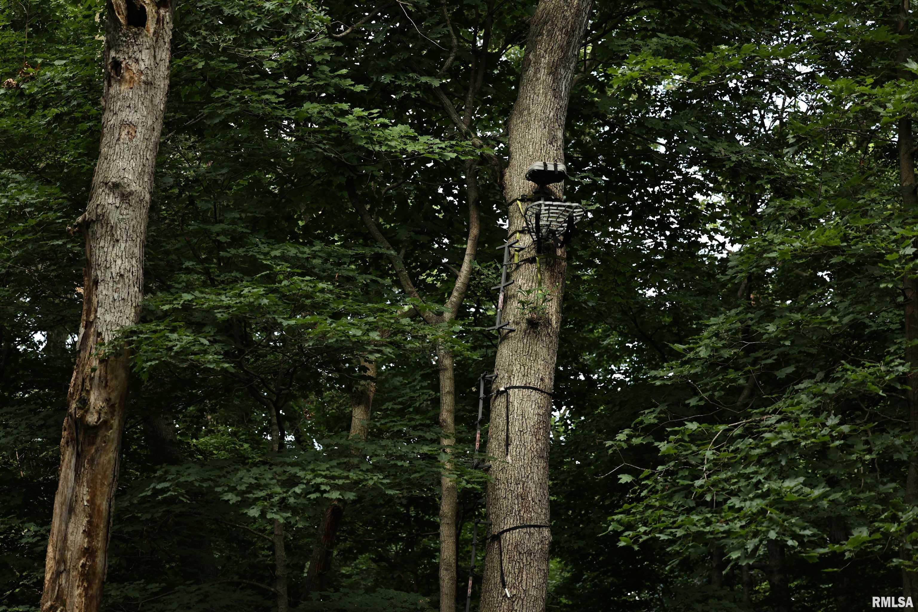 0 205th Street Kinderhook, IL 62345 - Photo 14 of 49