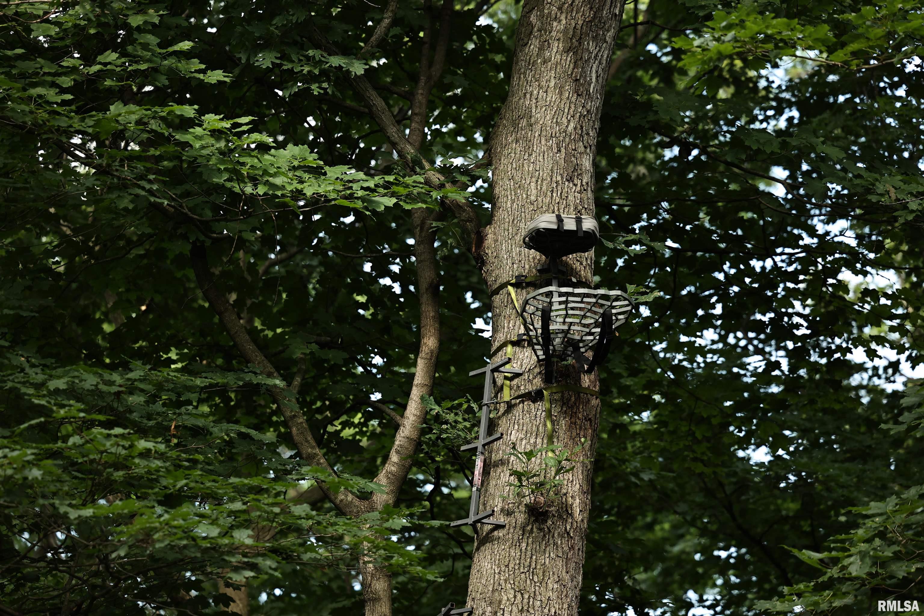 0 205th Street Kinderhook, IL 62345 - Photo 15 of 49