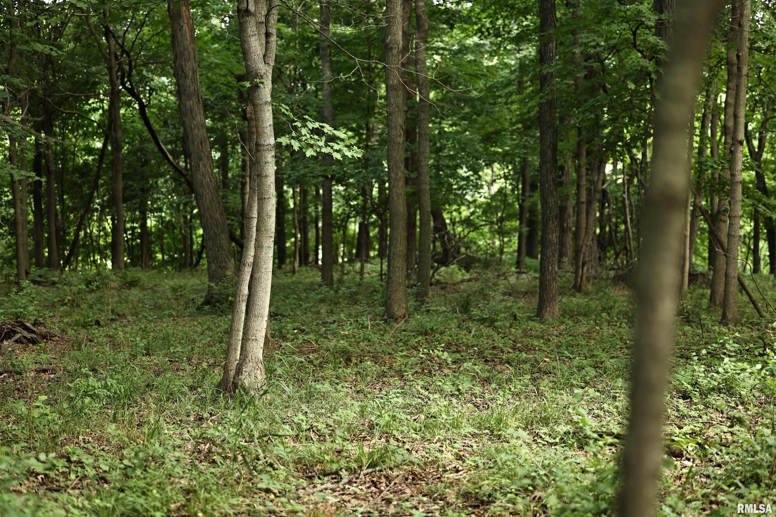 0 205th Street Kinderhook, IL 62345 - Photo 18 of 49