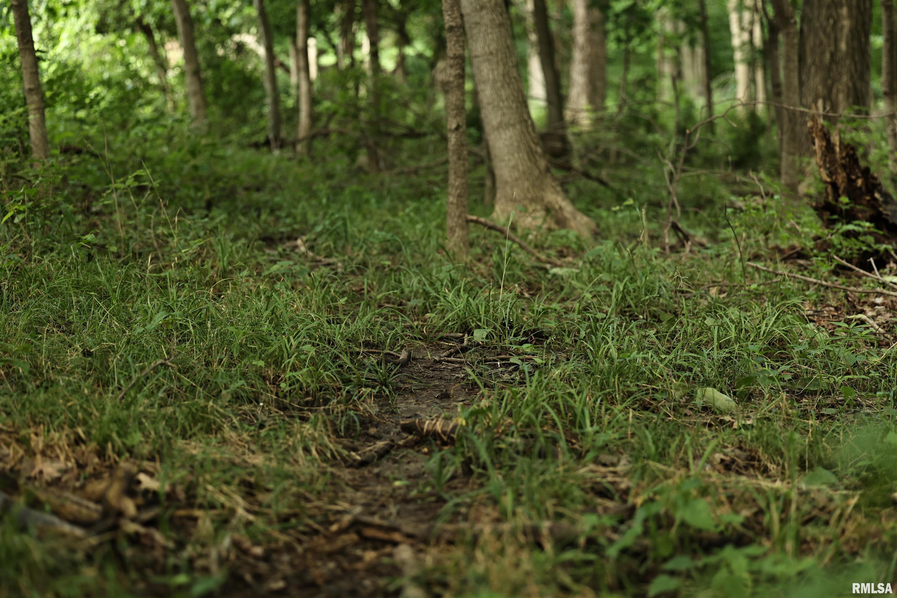 0 205th Street Kinderhook, IL 62345 - Photo 19 of 49