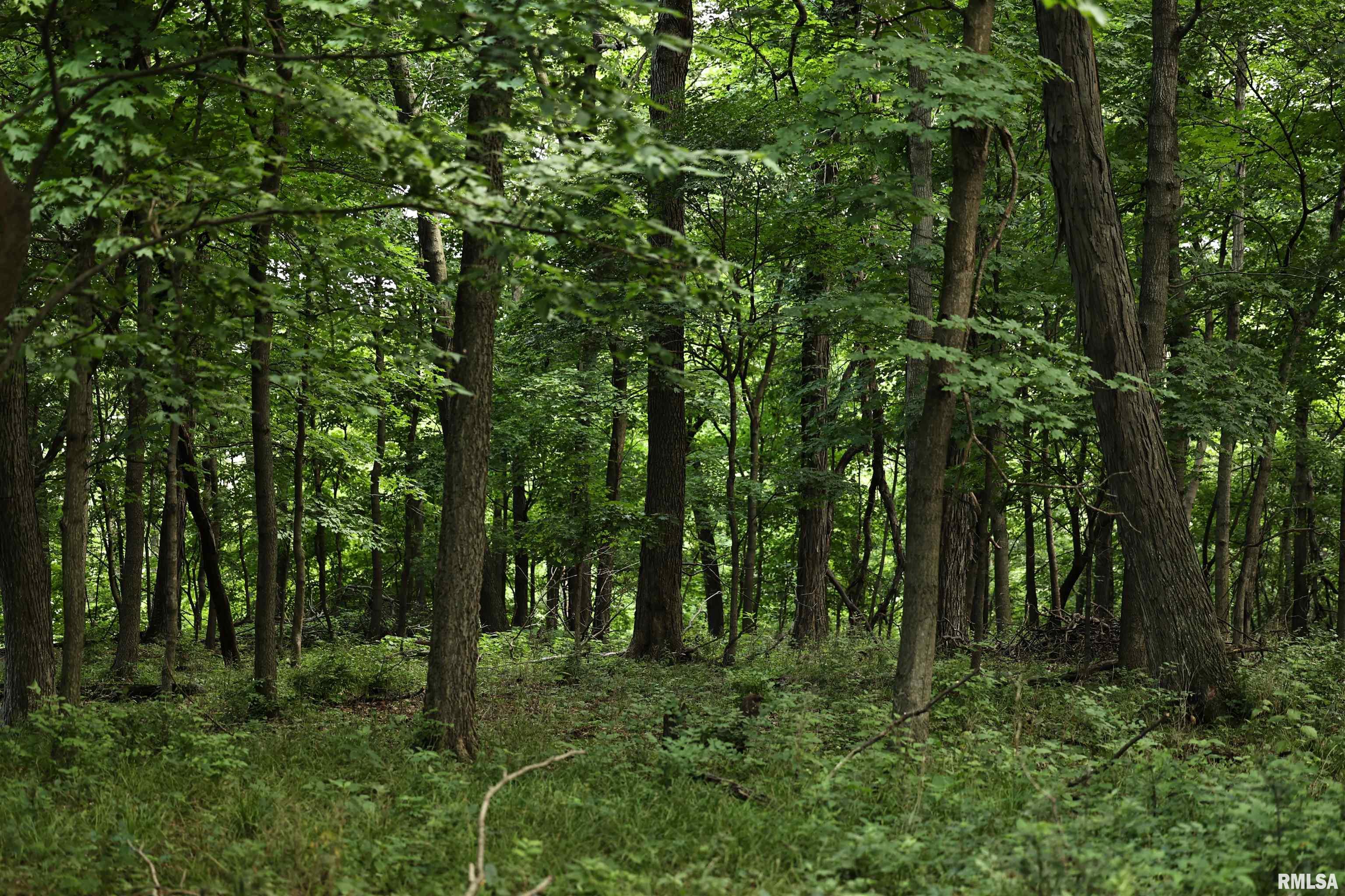 0 205th Street Kinderhook, IL 62345 - Photo 20 of 49