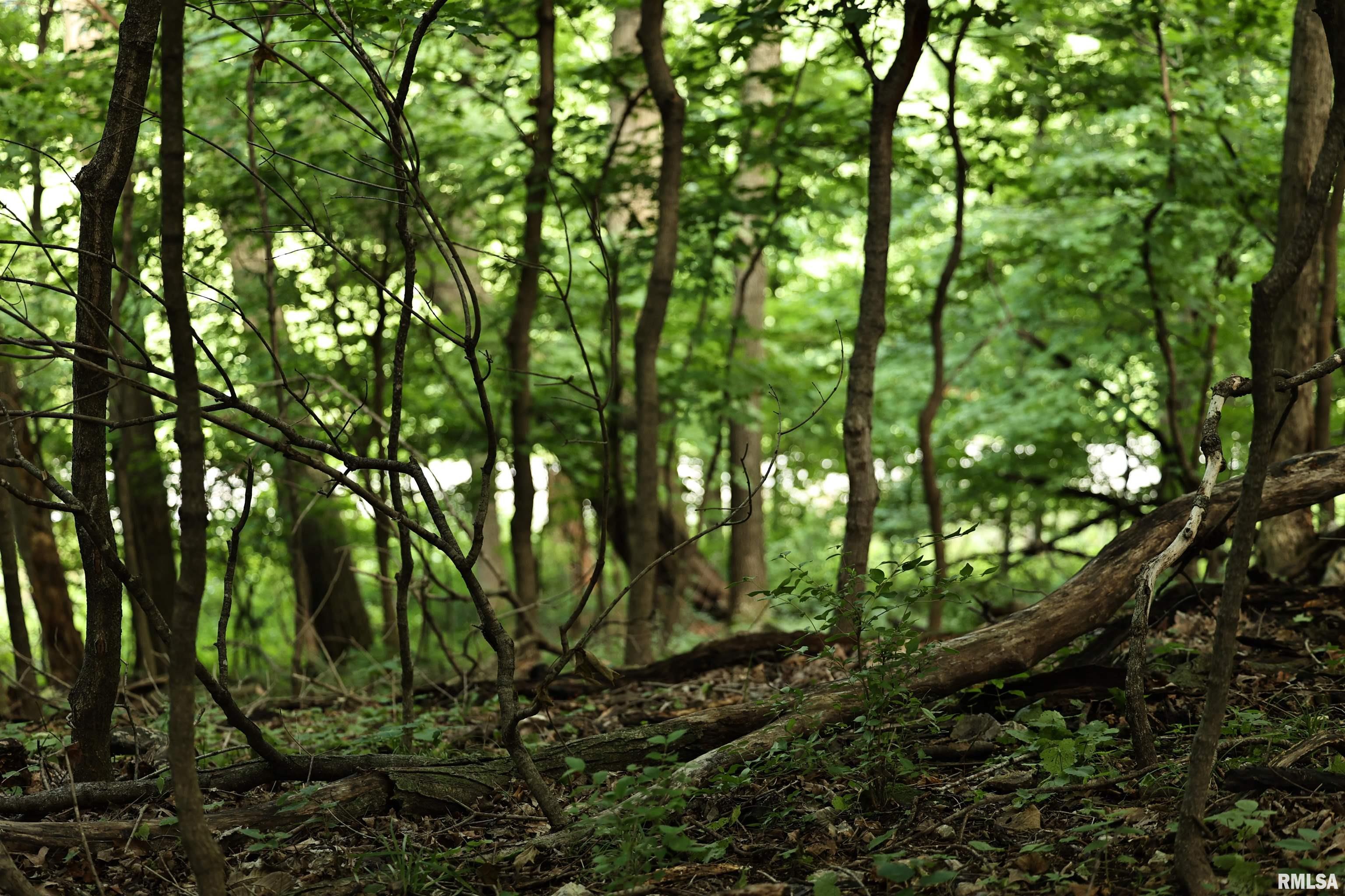 0 205th Street Kinderhook, IL 62345 - Photo 22 of 49