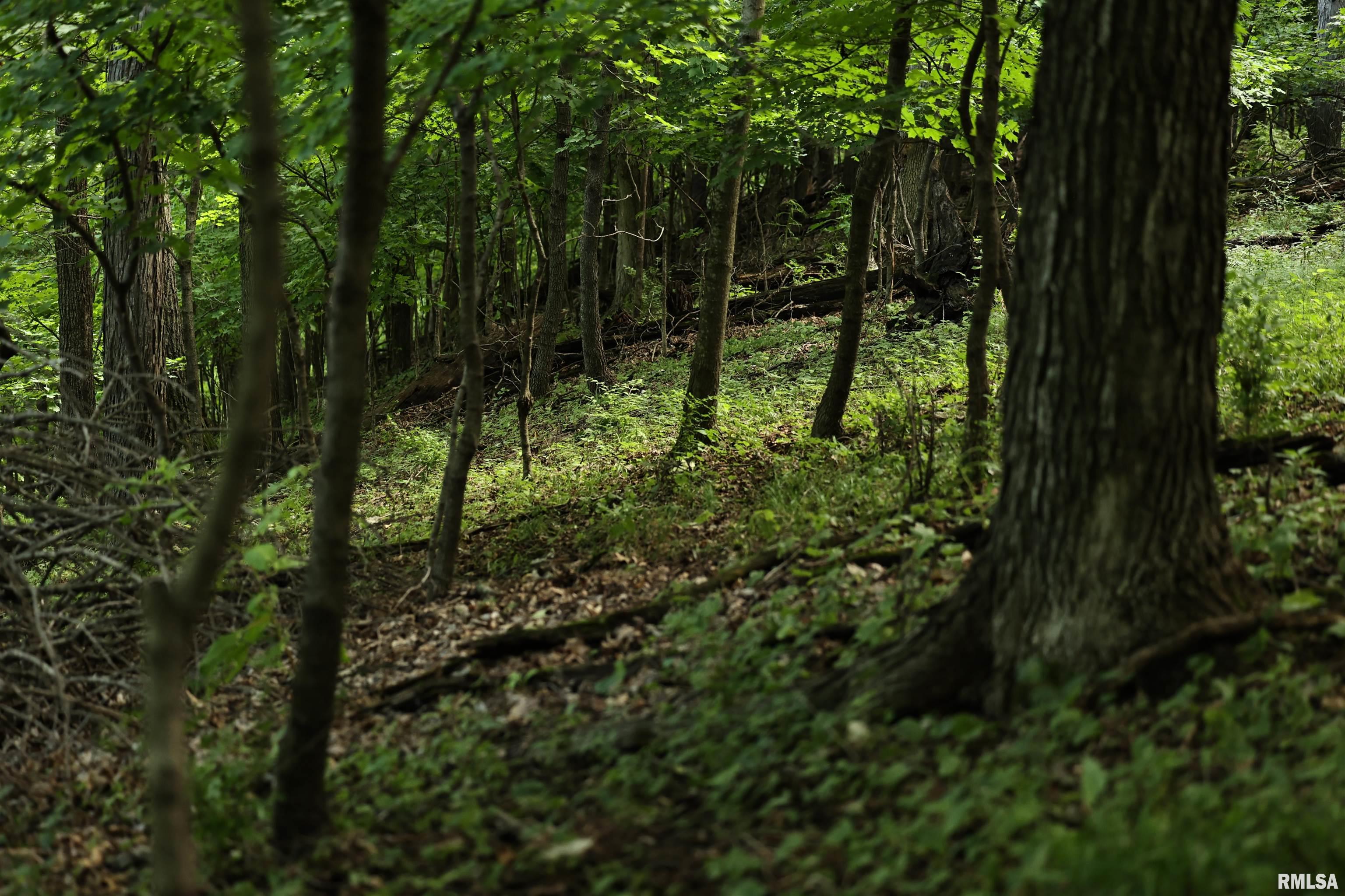 0 205th Street Kinderhook, IL 62345 - Photo 23 of 49