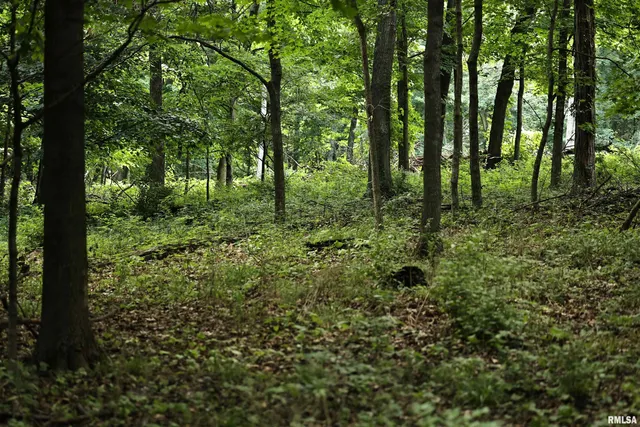 $101,700 | 0 205th Street, Kinderhook, IL 62345