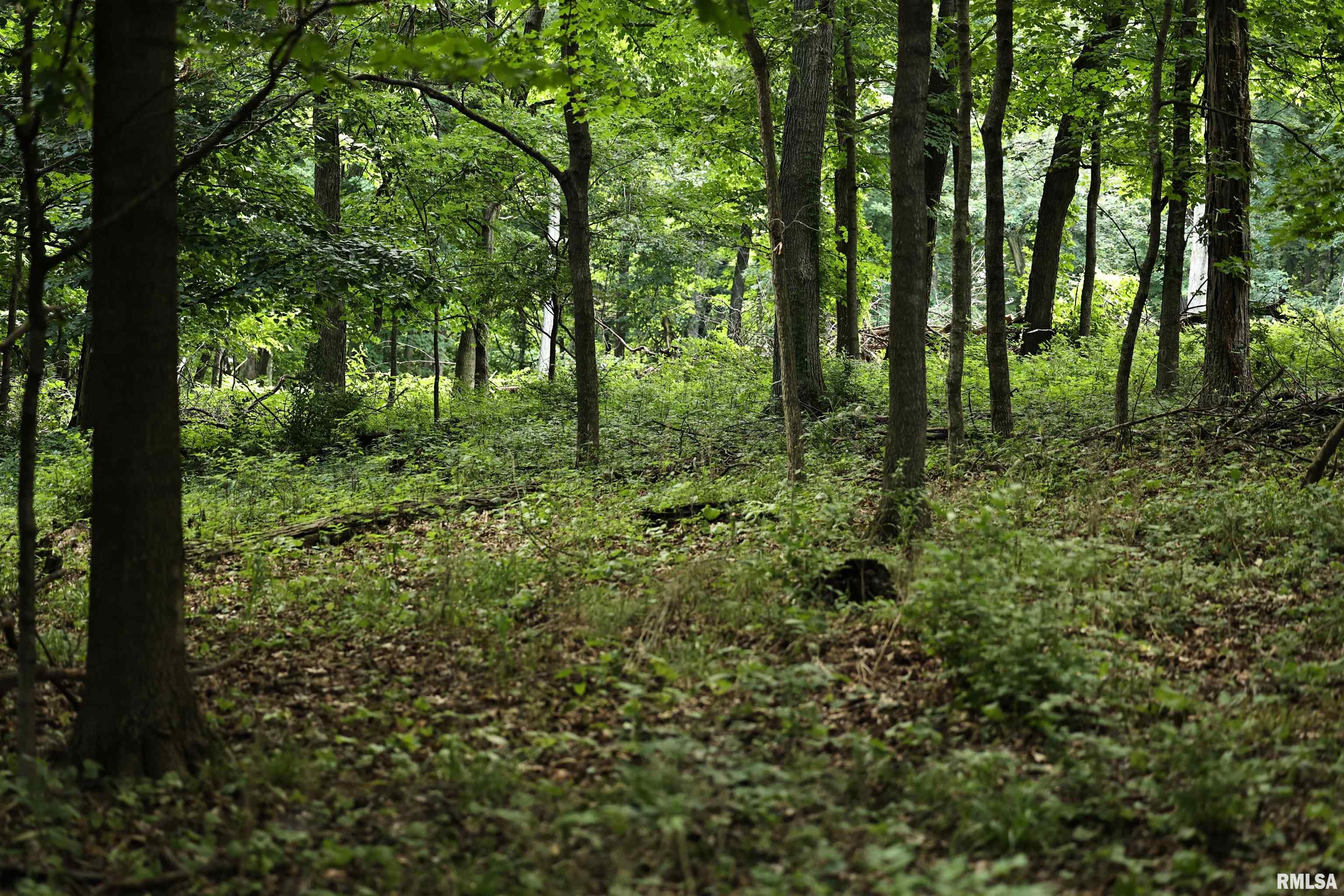 0 205th Street Kinderhook, IL 62345 - Photo 24 of 49