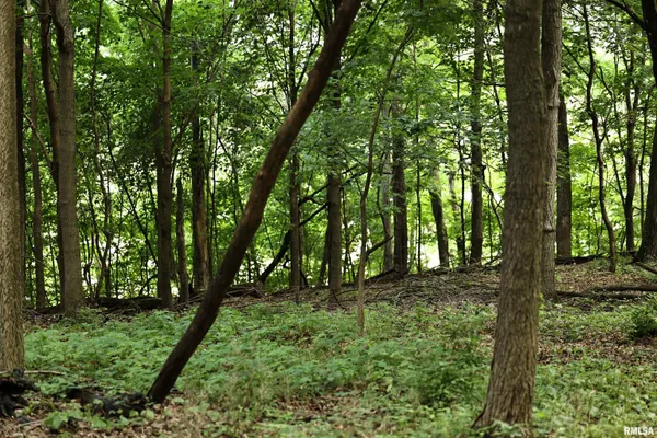 $101,700 | 0 205th Street, Kinderhook, IL 62345