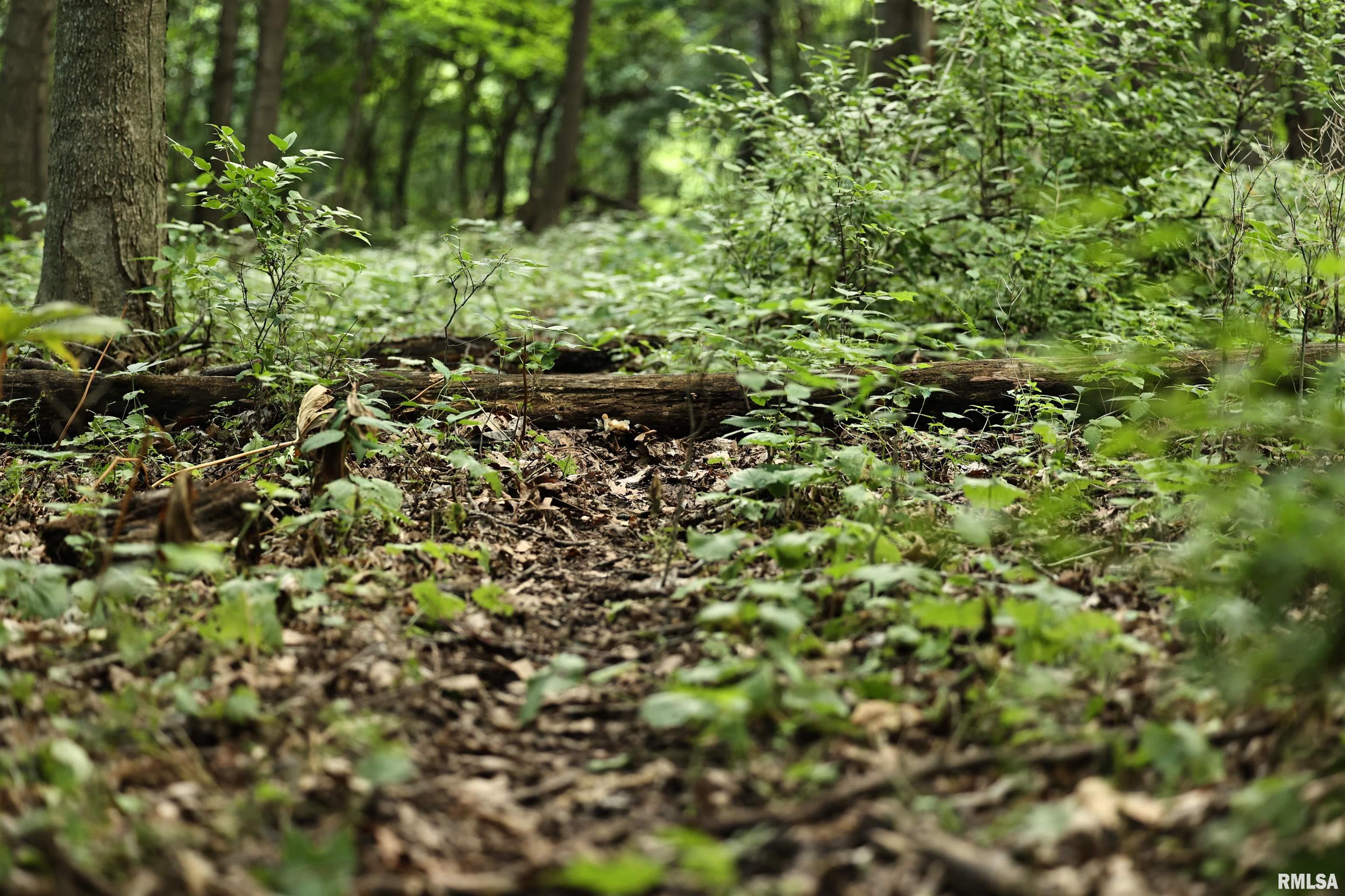 0 205th Street Kinderhook, IL 62345 - Photo 26 of 49