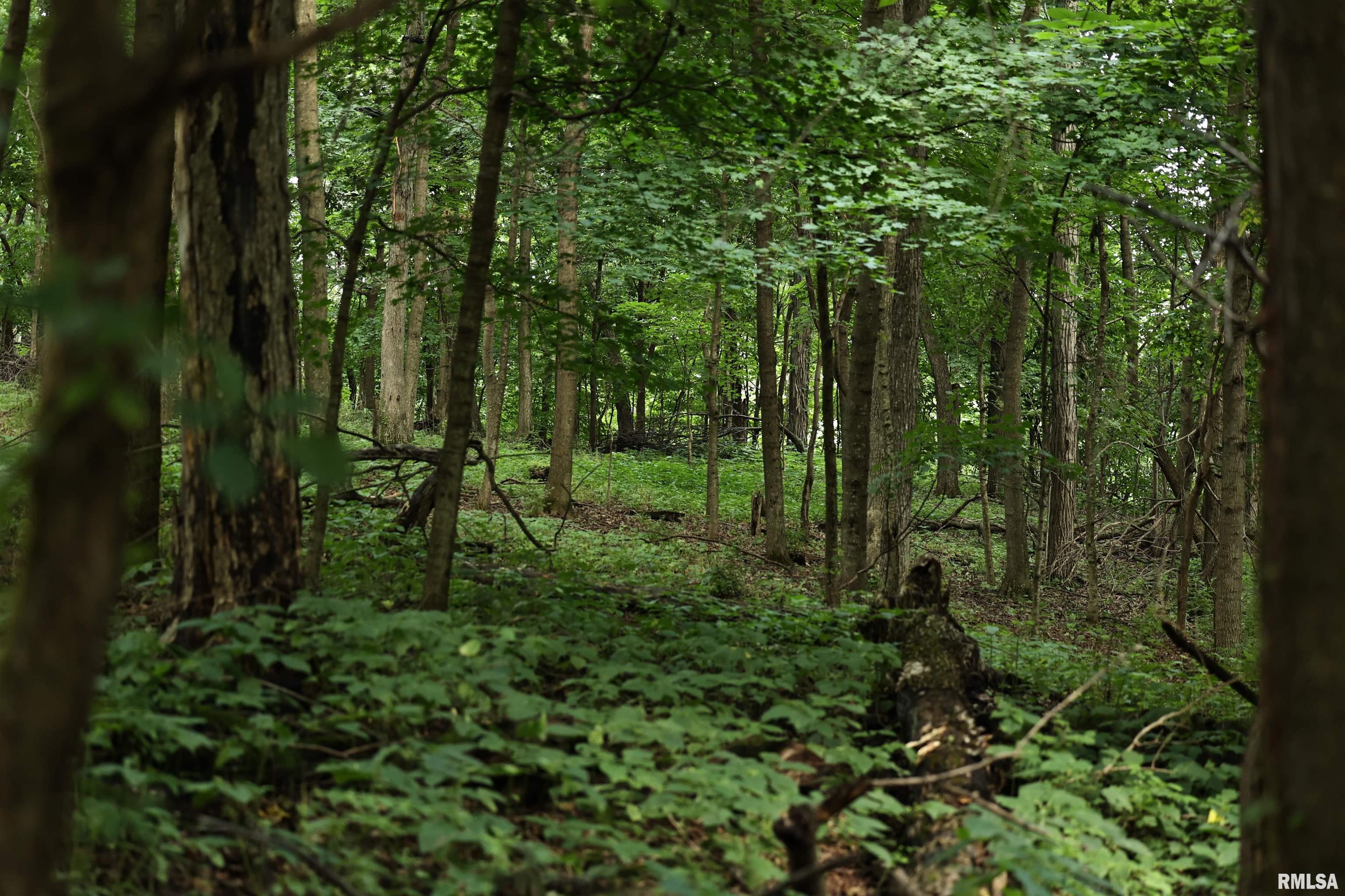 0 205th Street Kinderhook, IL 62345 - Photo 27 of 49
