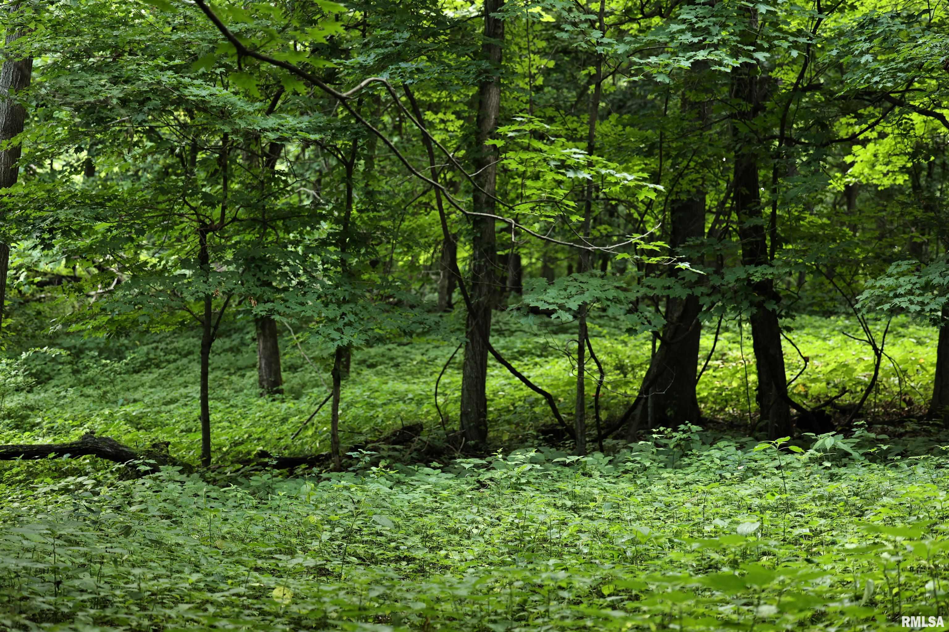 0 205th Street Kinderhook, IL 62345 - Photo 28 of 49
