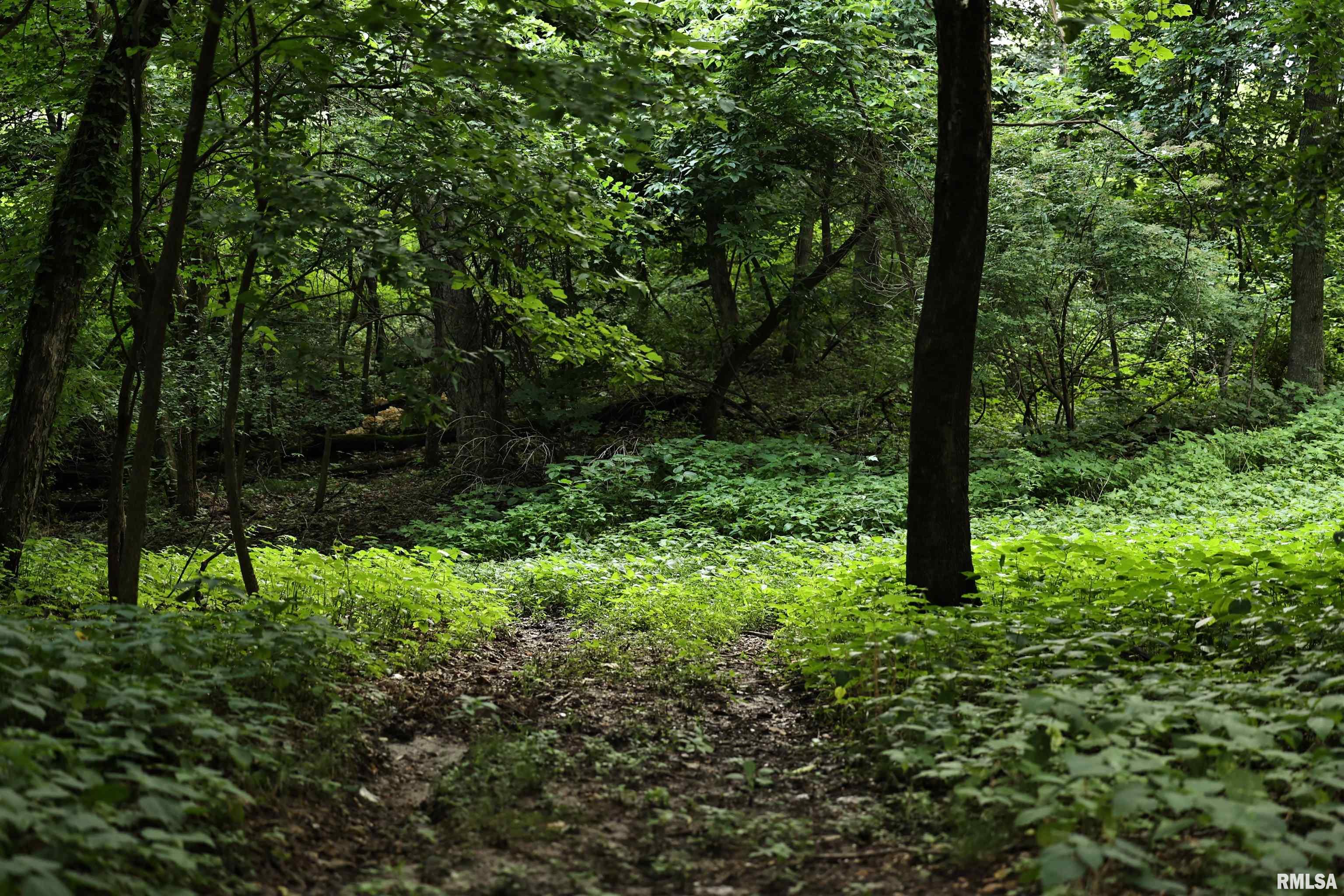 0 205th Street Kinderhook, IL 62345 - Photo 29 of 49