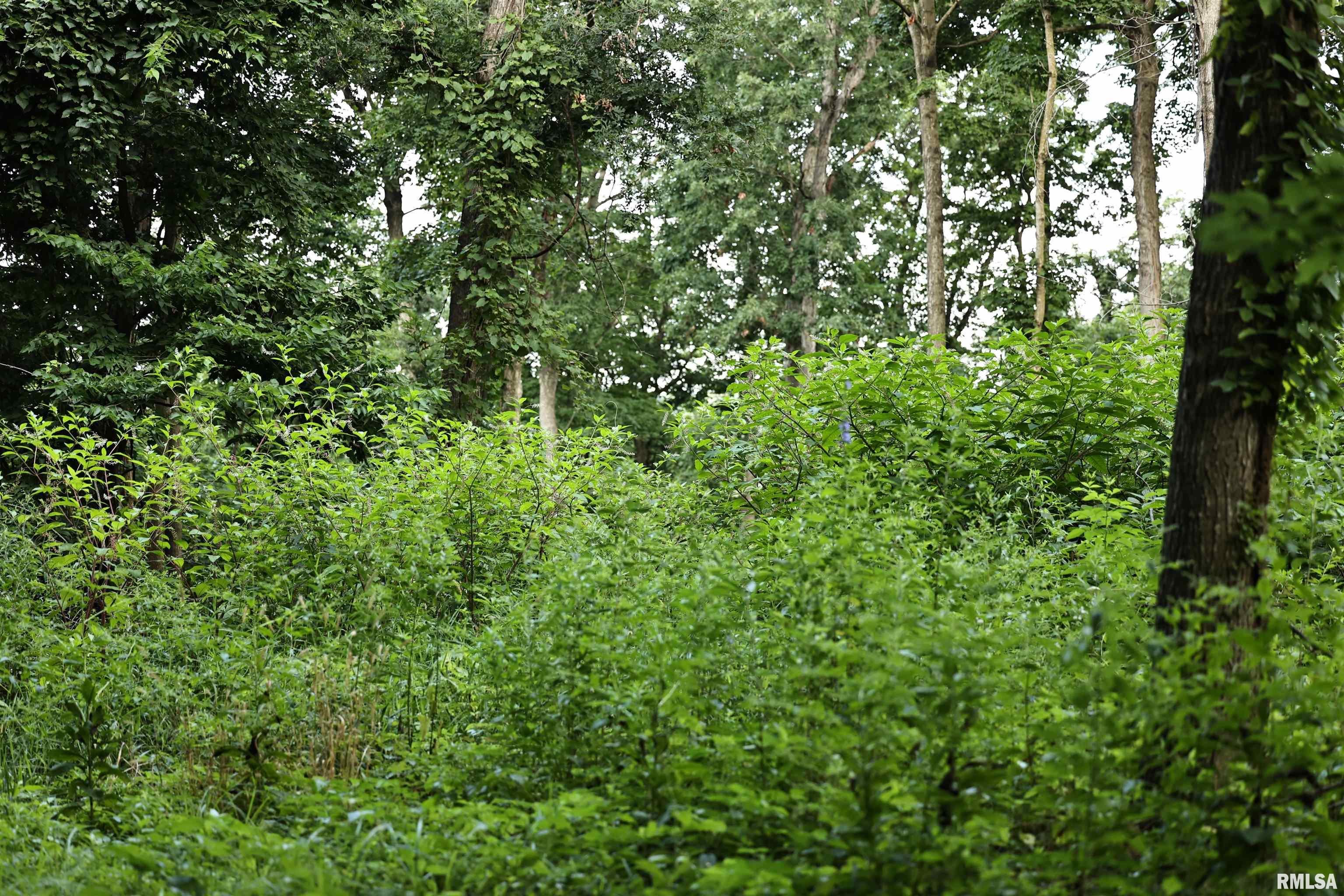 0 205th Street Kinderhook, IL 62345 - Photo 30 of 49