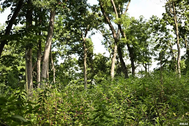 $101,700 | 0 205th Street, Kinderhook, IL 62345