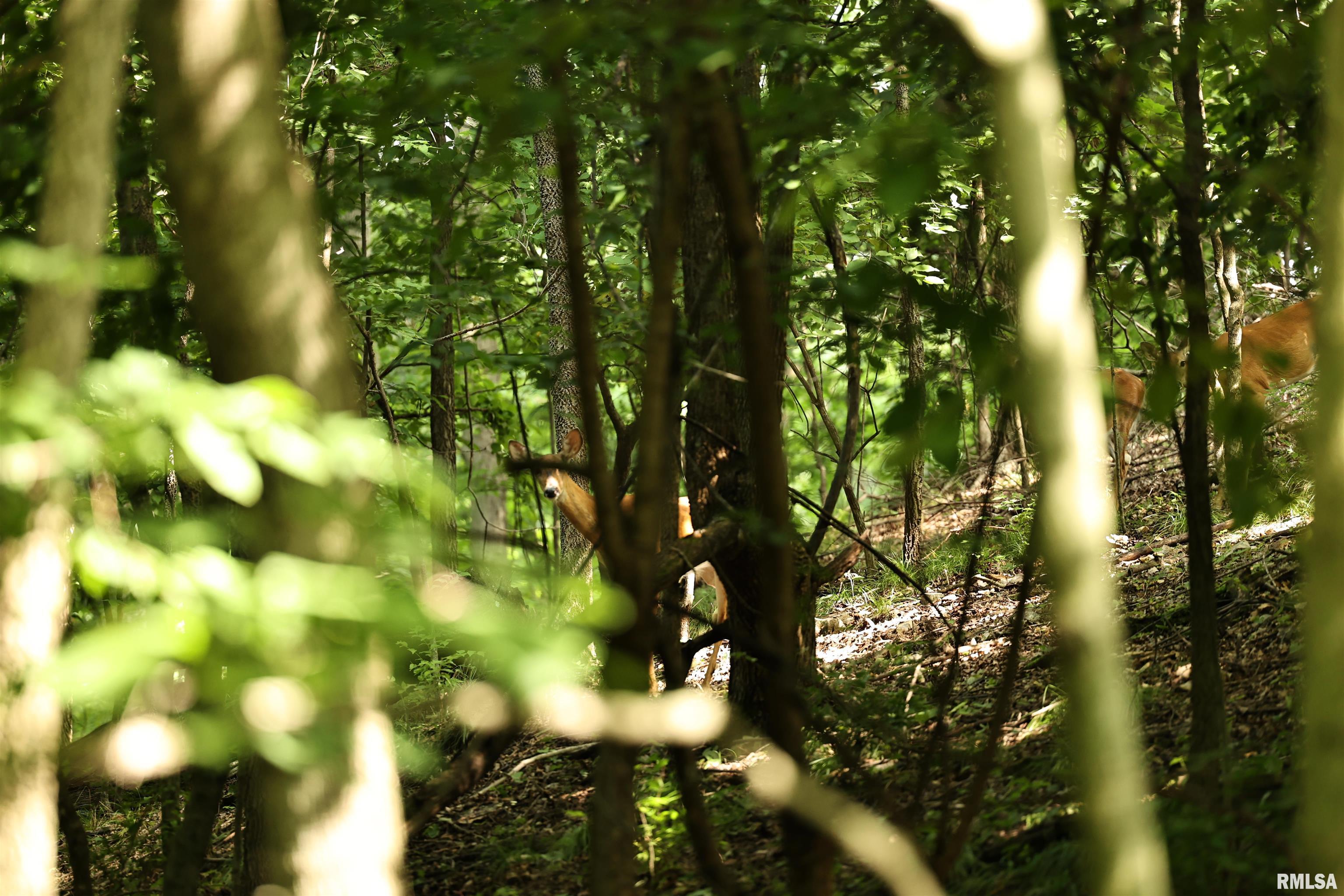 0 205th Street Kinderhook, IL 62345 - Photo 32 of 49