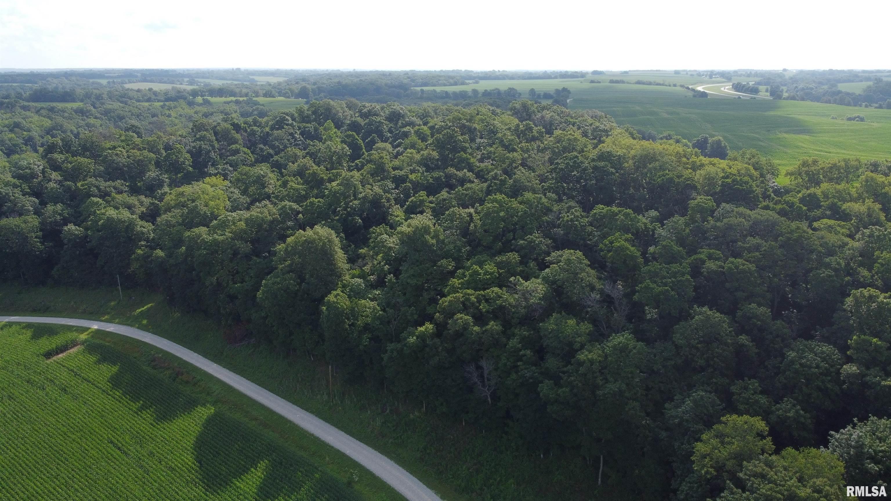 0 205th Street Kinderhook, IL 62345 - Photo 33 of 49