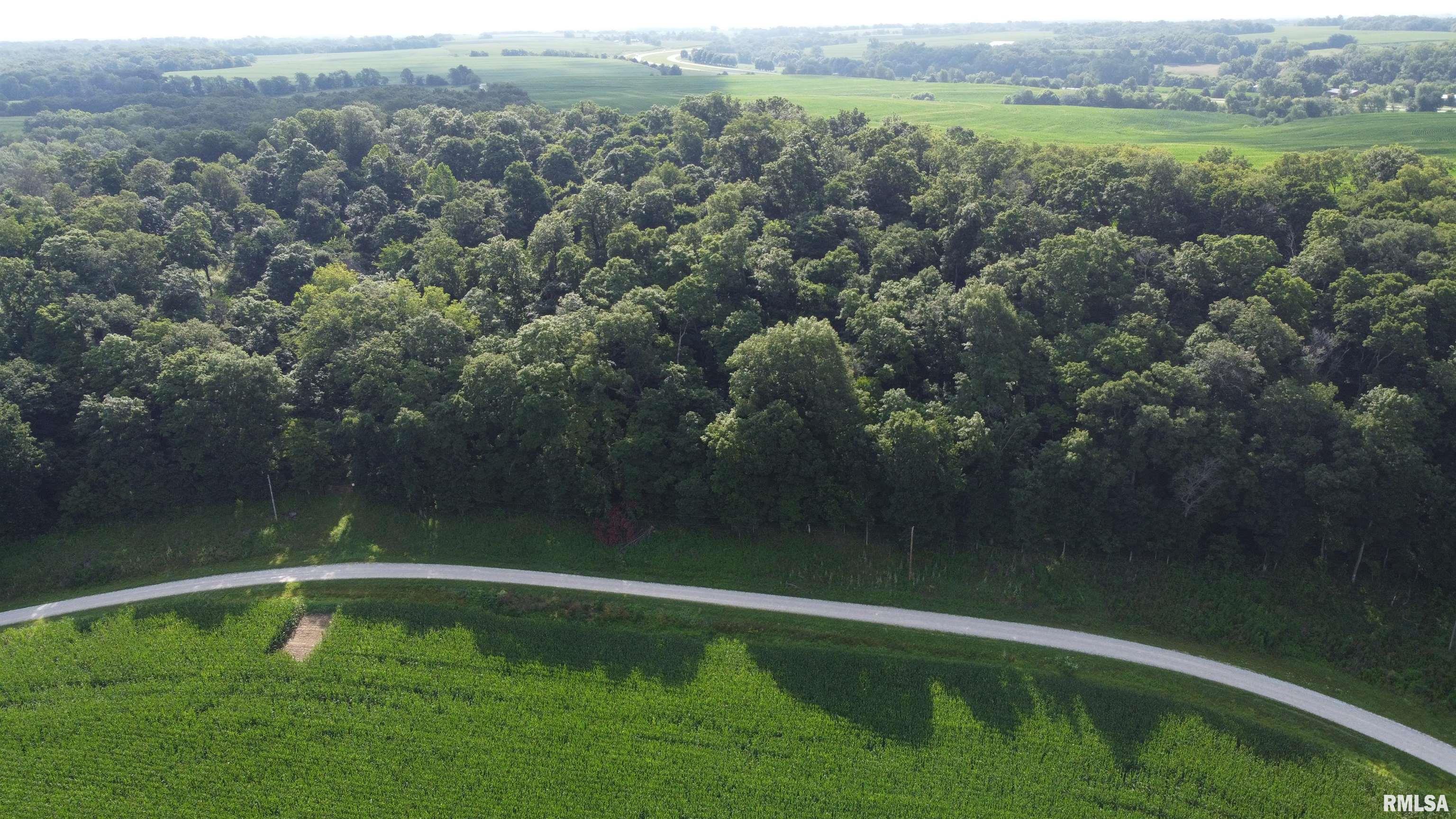 0 205th Street Kinderhook, IL 62345 - Photo 34 of 49