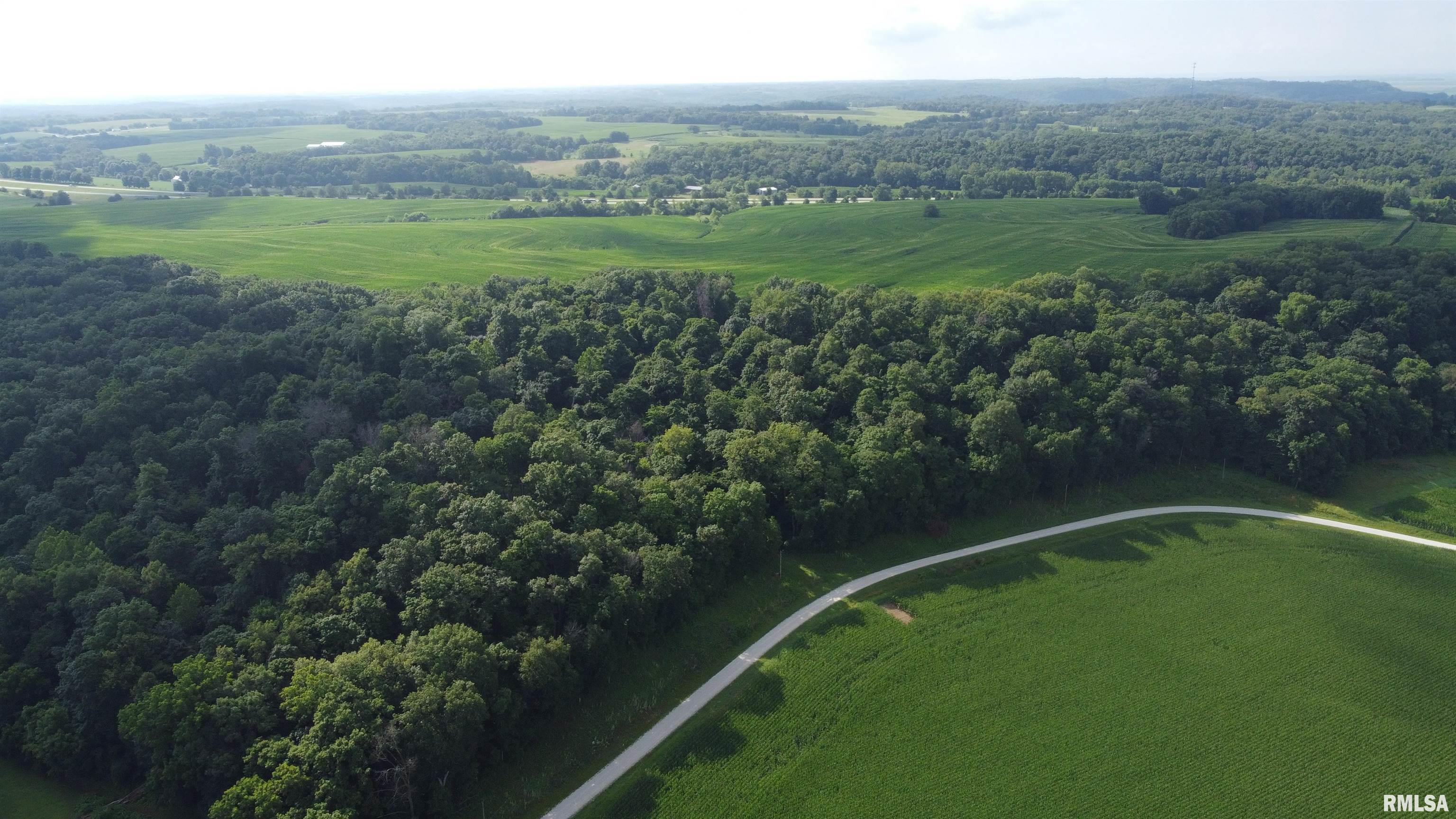 0 205th Street Kinderhook, IL 62345 - Photo 35 of 49