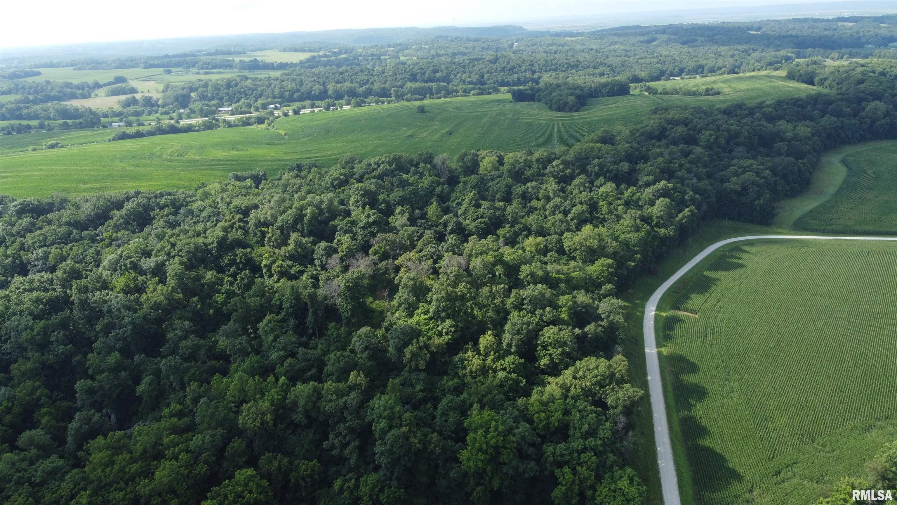 0 205th Street Kinderhook, IL 62345 - Photo 36 of 49
