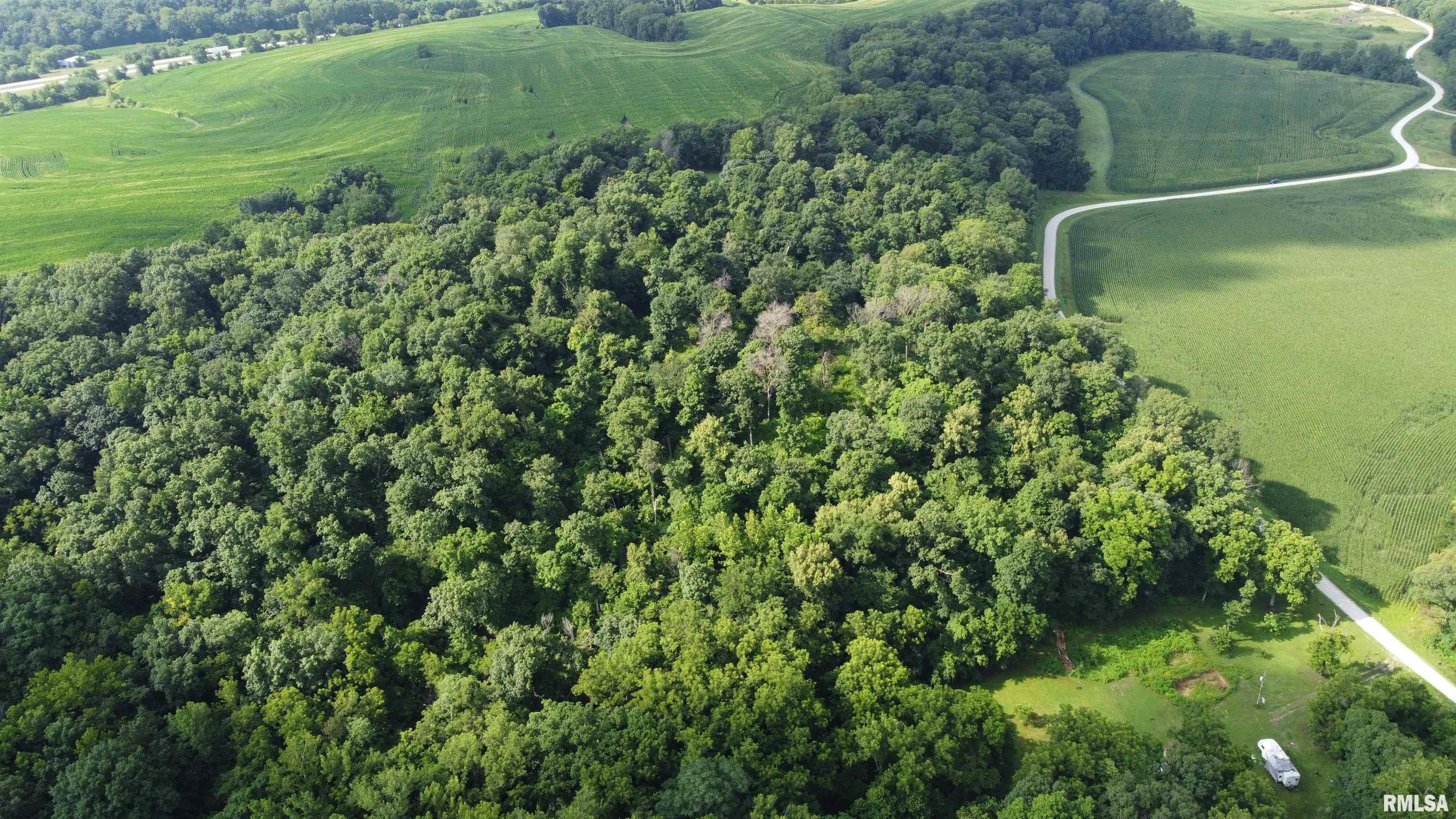 0 205th Street Kinderhook, IL 62345 - Photo 37 of 49