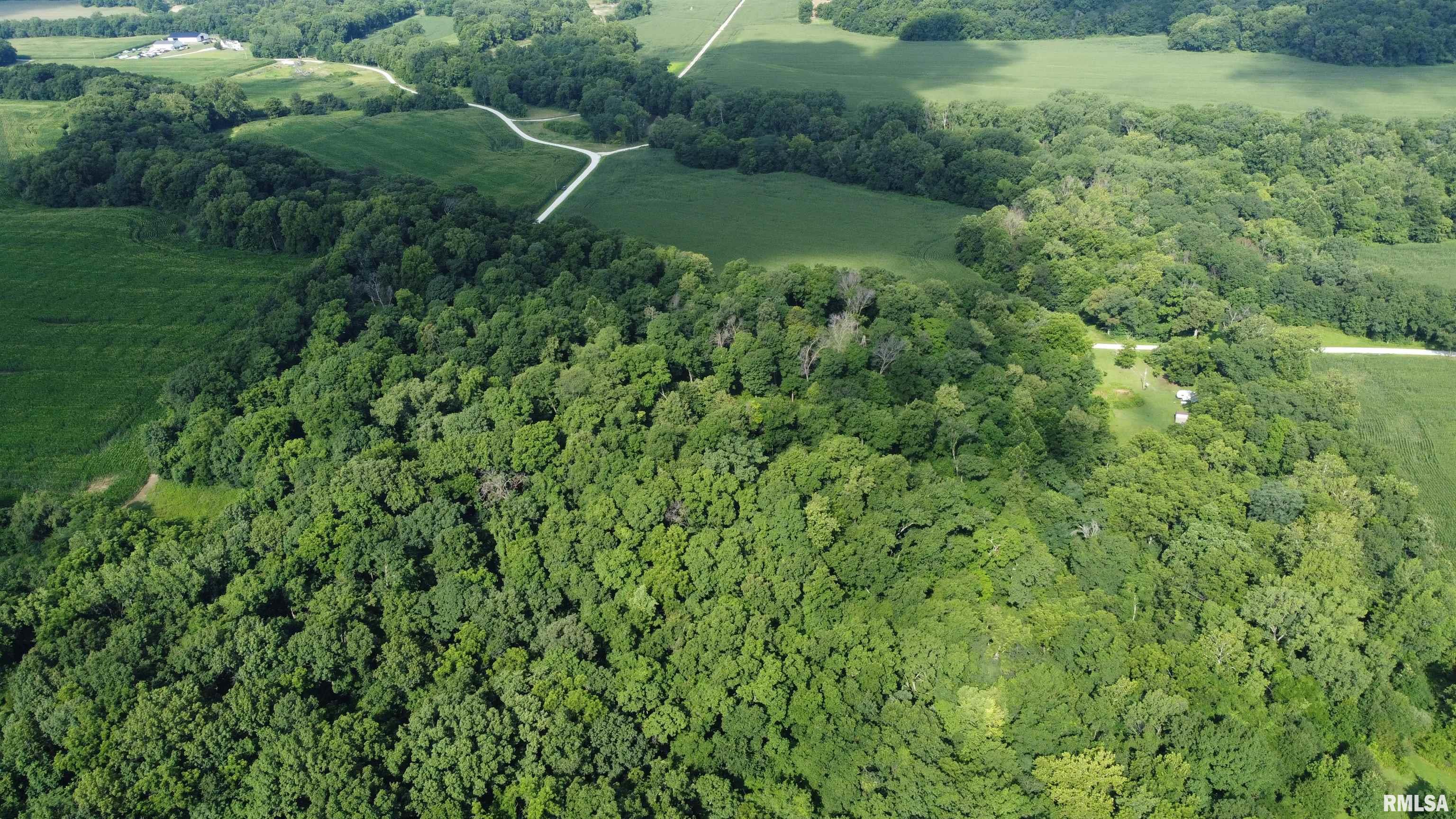 0 205th Street Kinderhook, IL 62345 - Photo 38 of 49