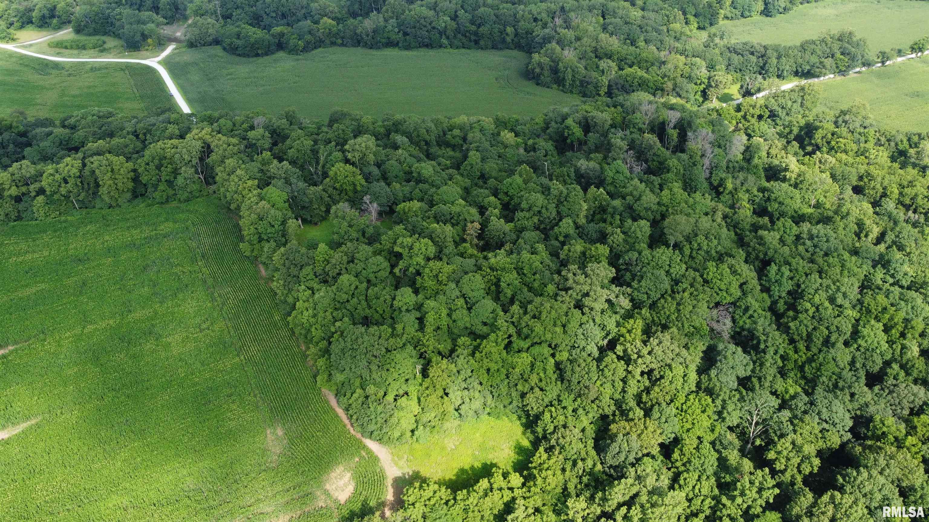 0 205th Street Kinderhook, IL 62345 - Photo 39 of 49