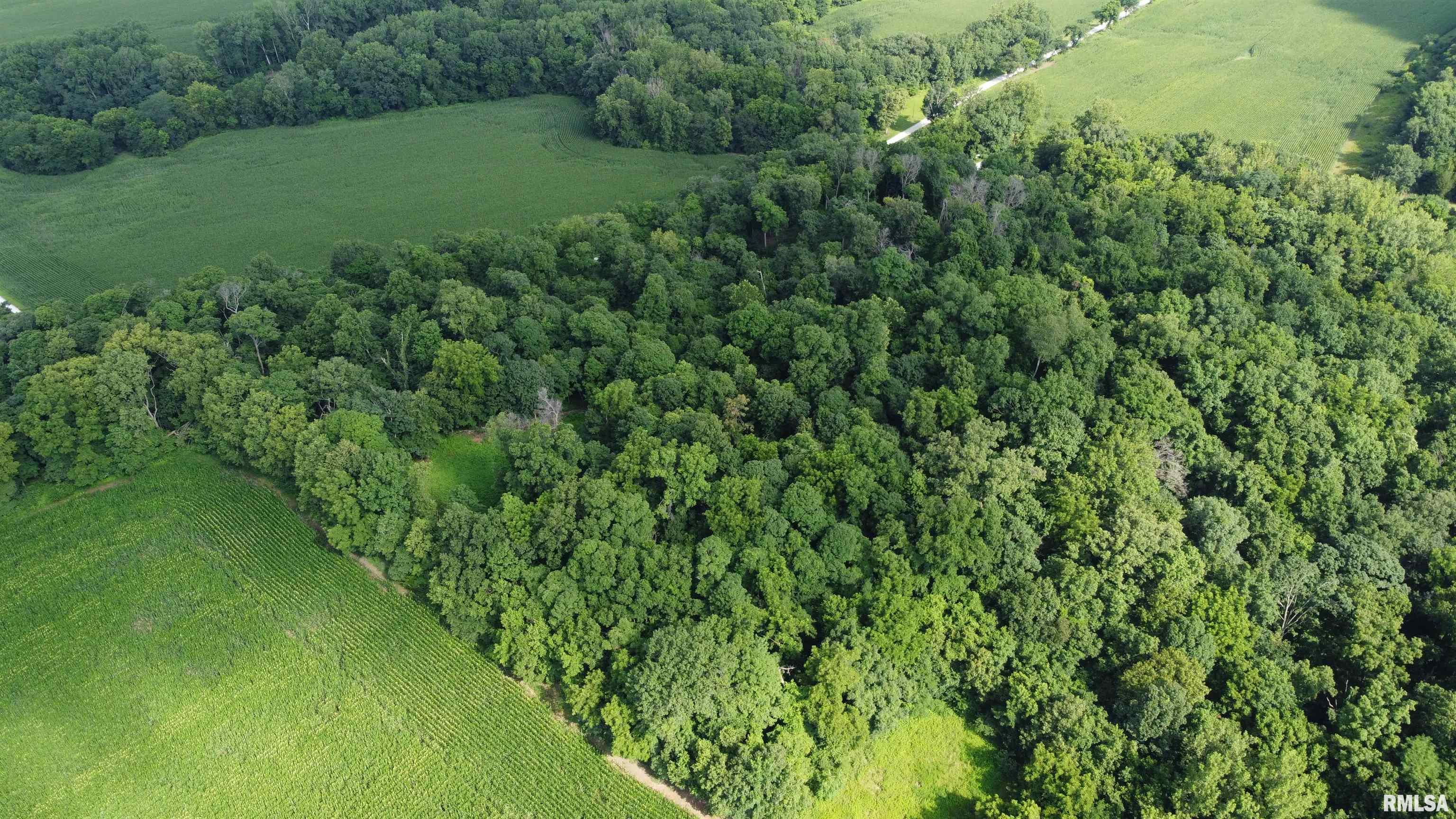 0 205th Street Kinderhook, IL 62345 - Photo 40 of 49