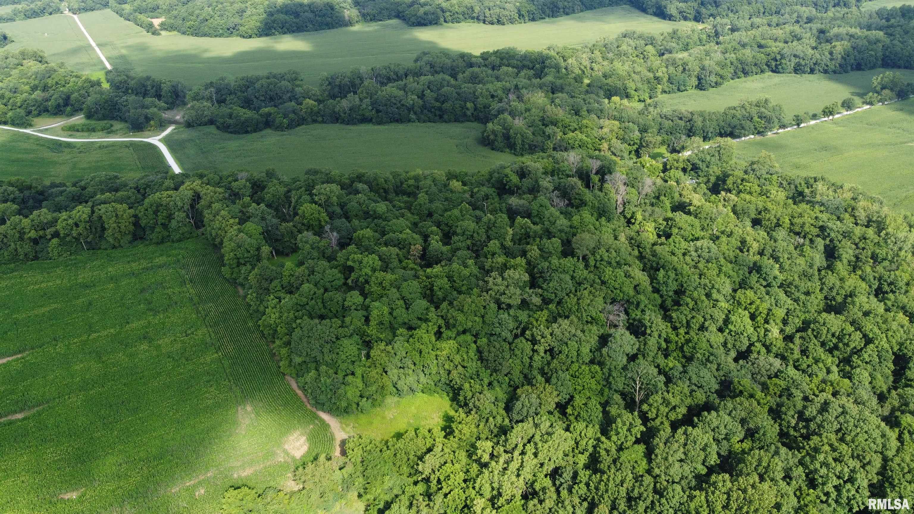 0 205th Street Kinderhook, IL 62345 - Photo 4 of 49