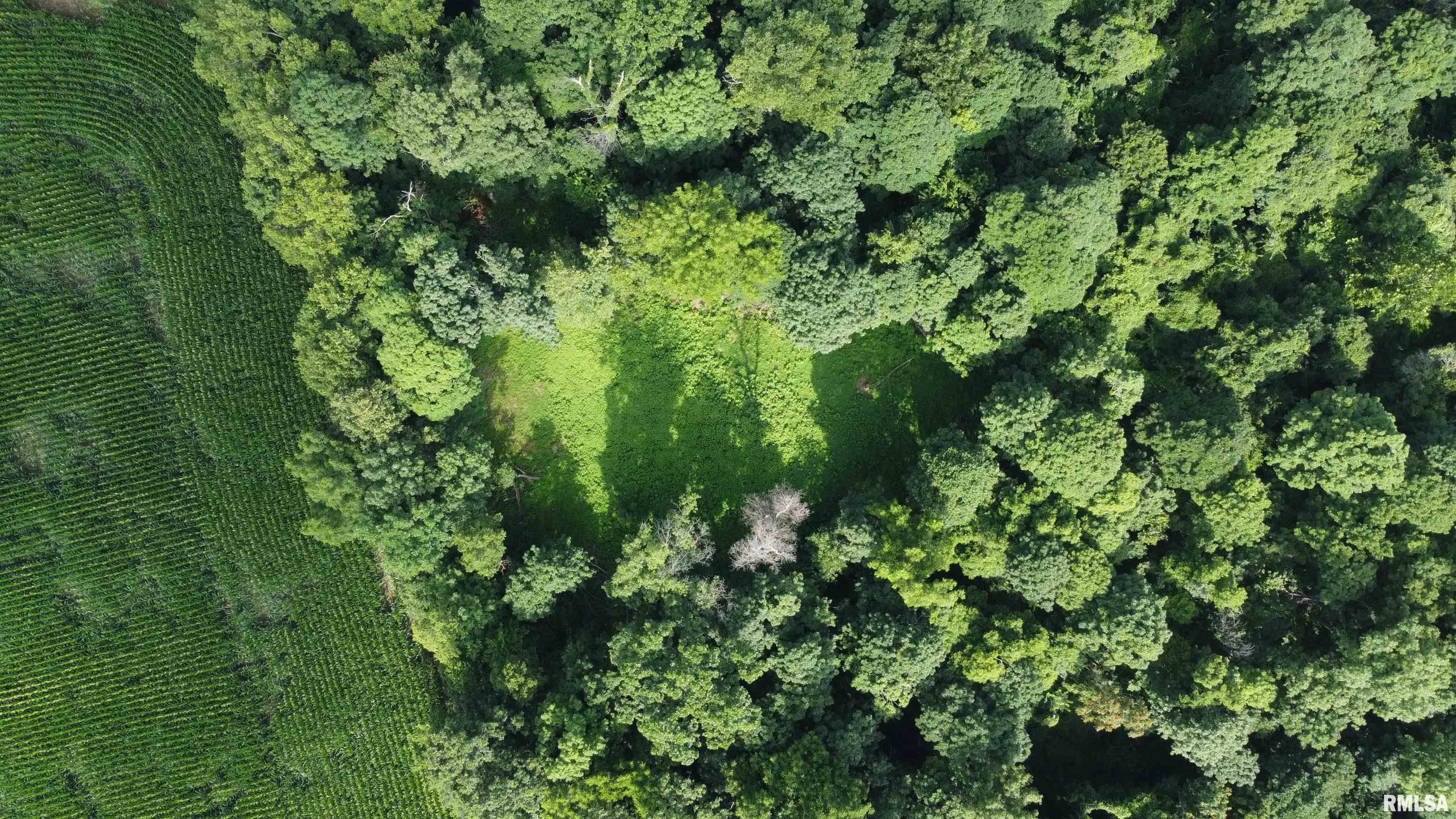 0 205th Street Kinderhook, IL 62345 - Photo 41 of 49