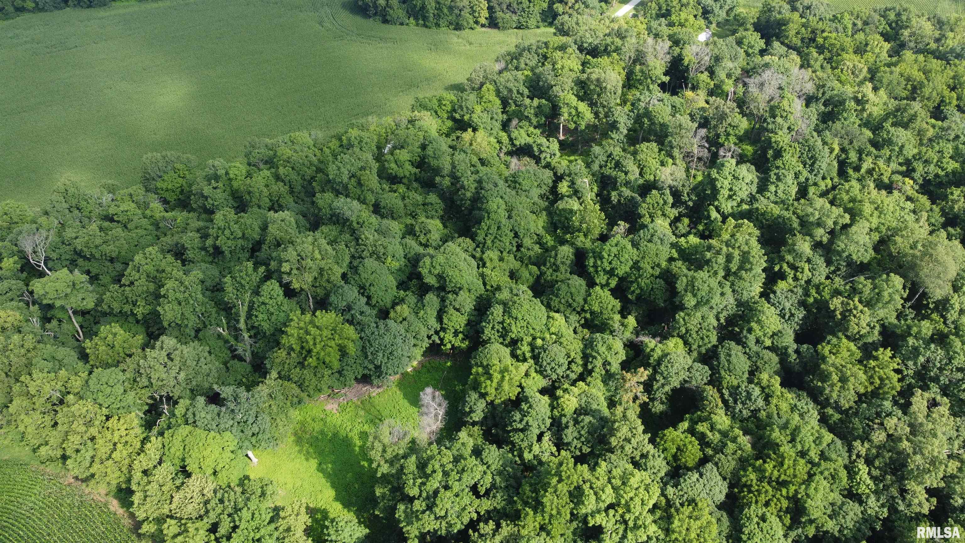 0 205th Street Kinderhook, IL 62345 - Photo 42 of 49