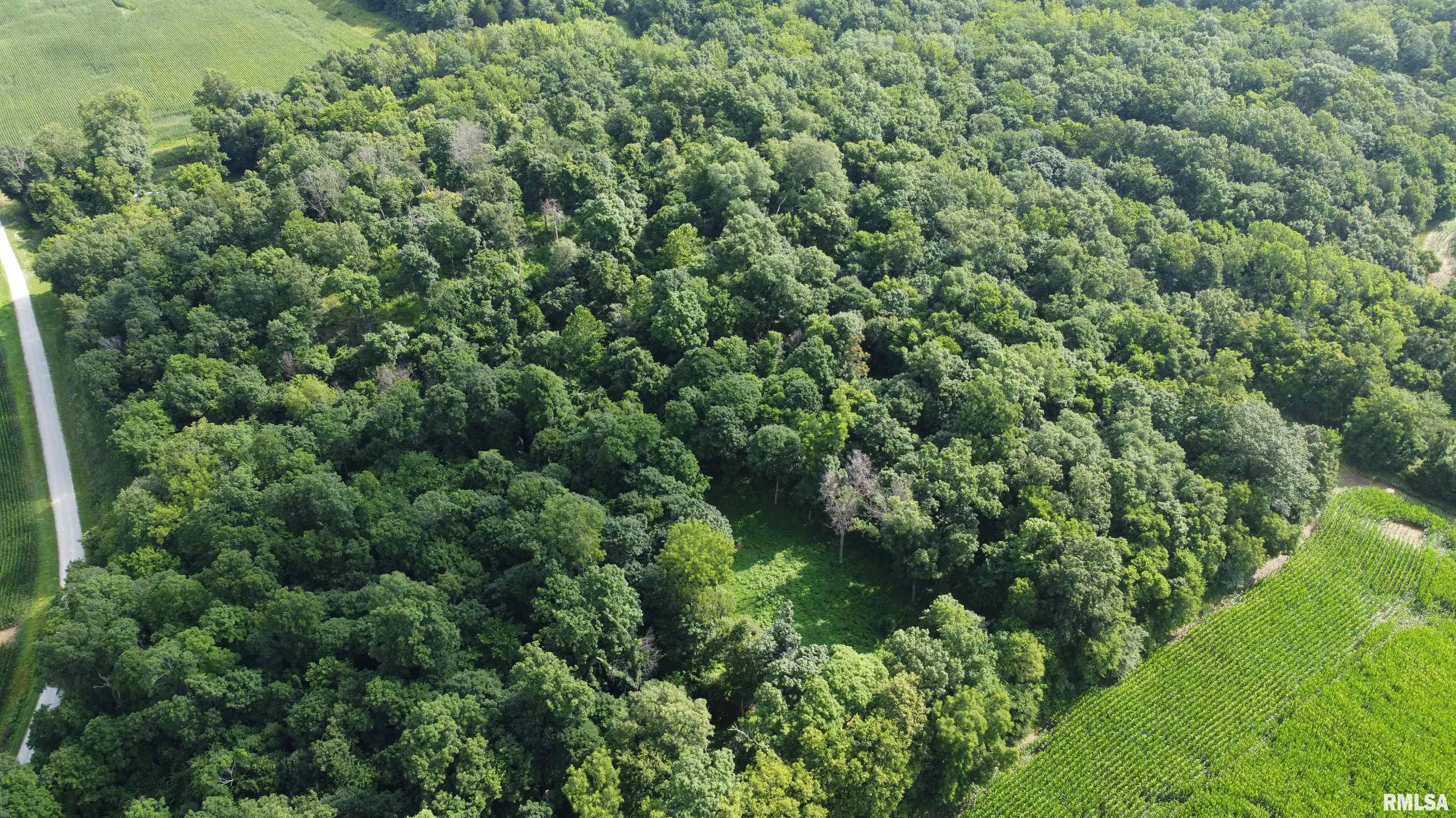 0 205th Street Kinderhook, IL 62345 - Photo 43 of 49