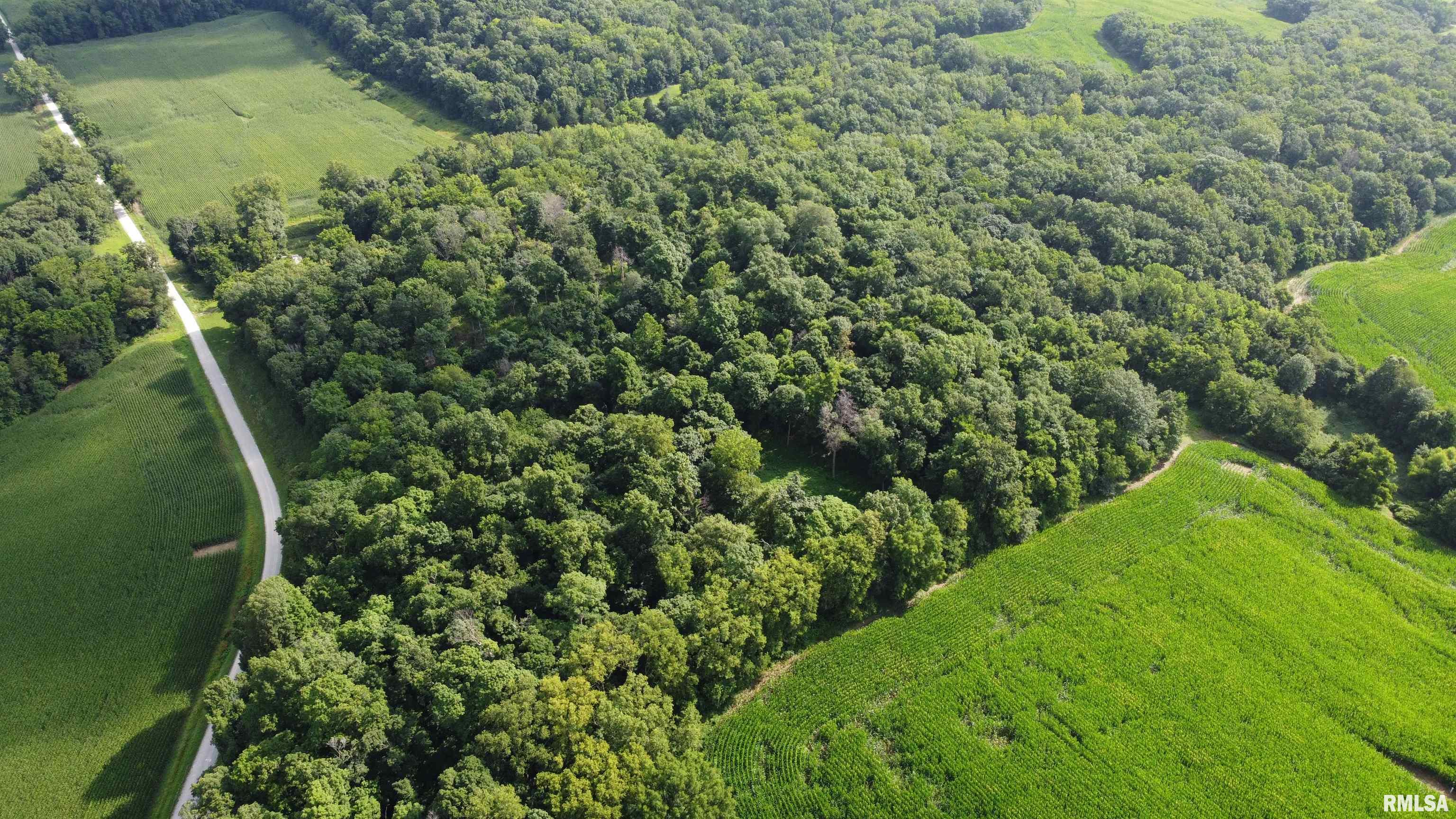 0 205th Street Kinderhook, IL 62345 - Photo 44 of 49