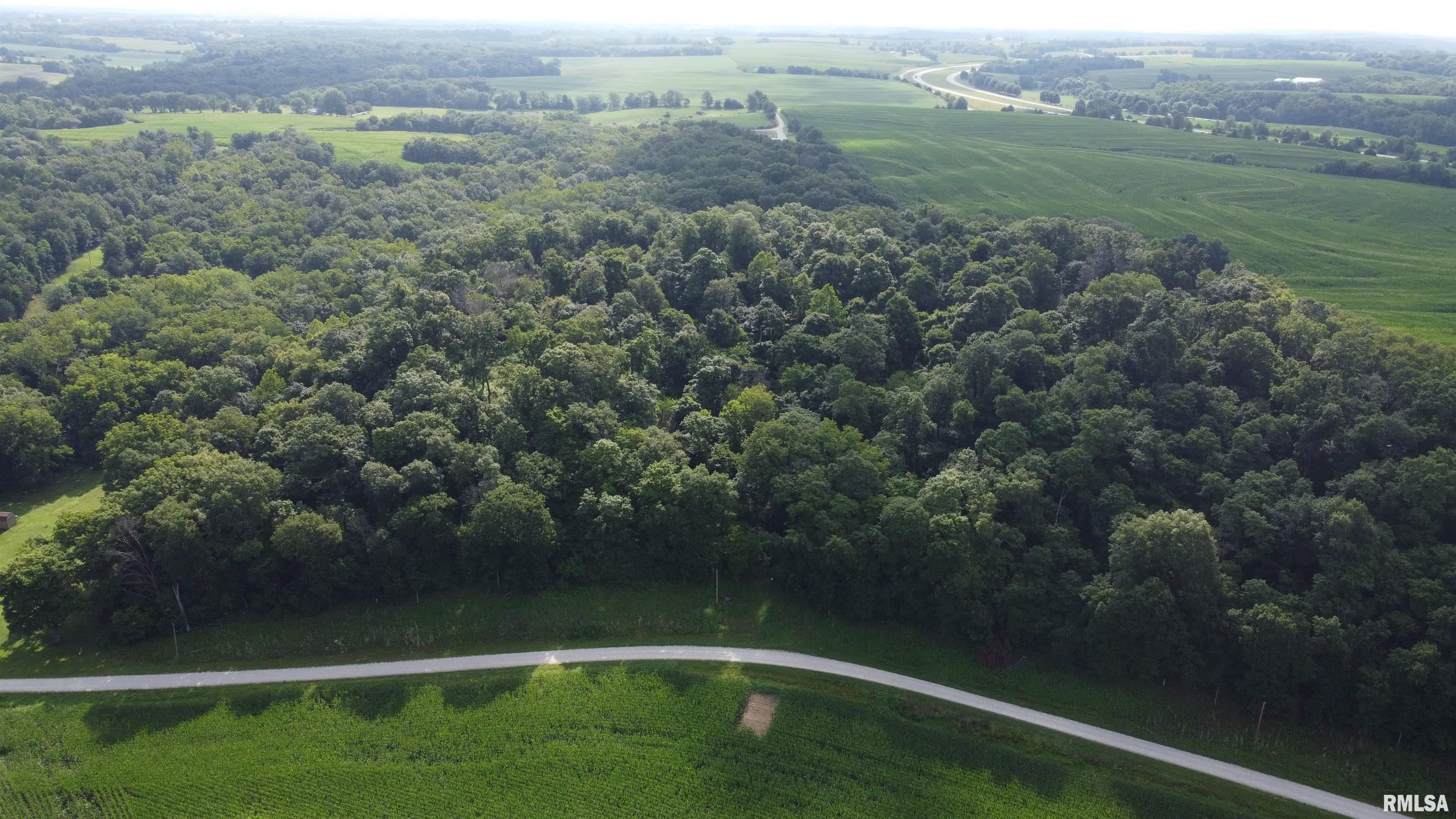 0 205th Street Kinderhook, IL 62345 - Photo 46 of 49