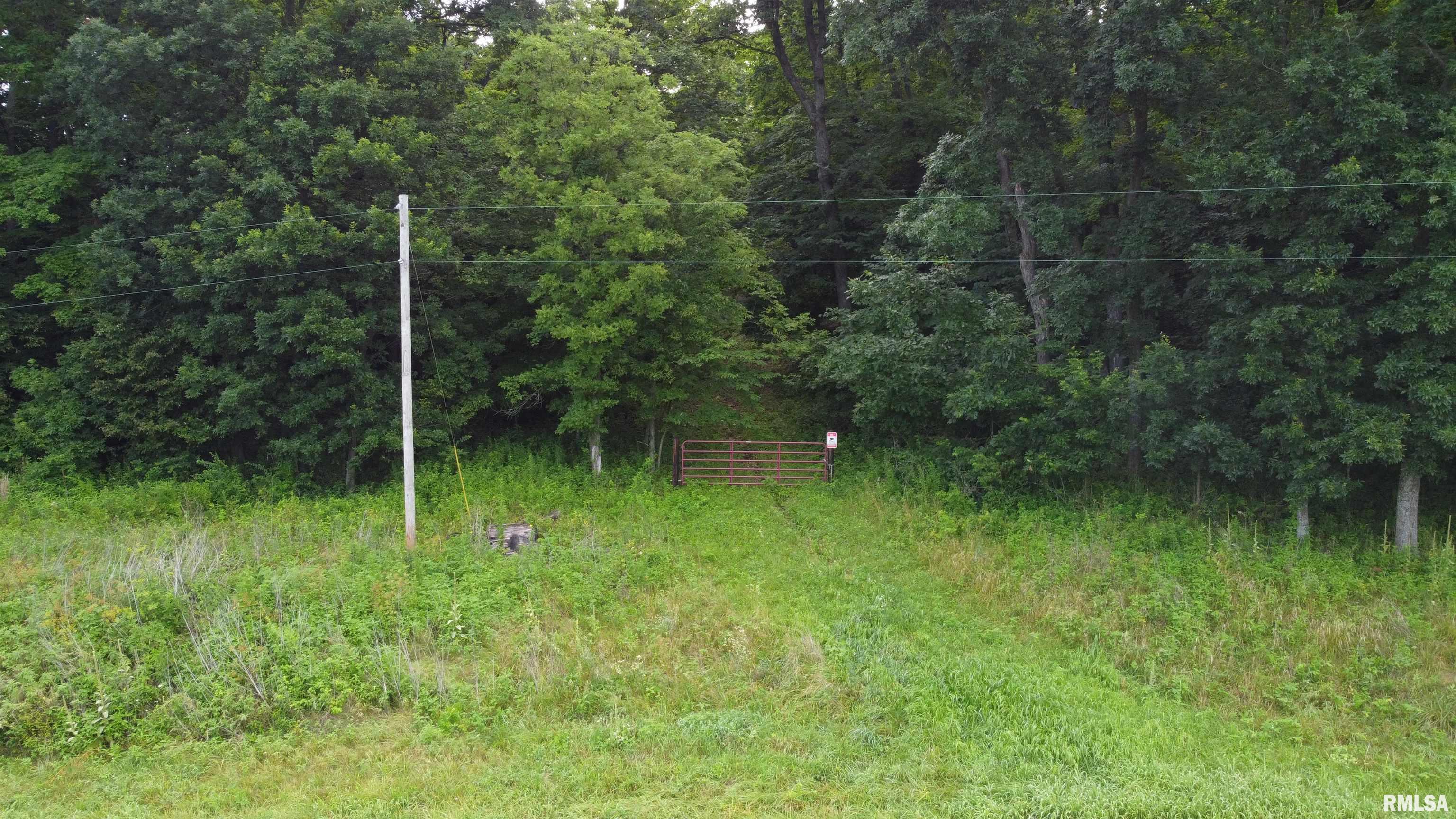 0 205th Street Kinderhook, IL 62345 - Photo 47 of 49