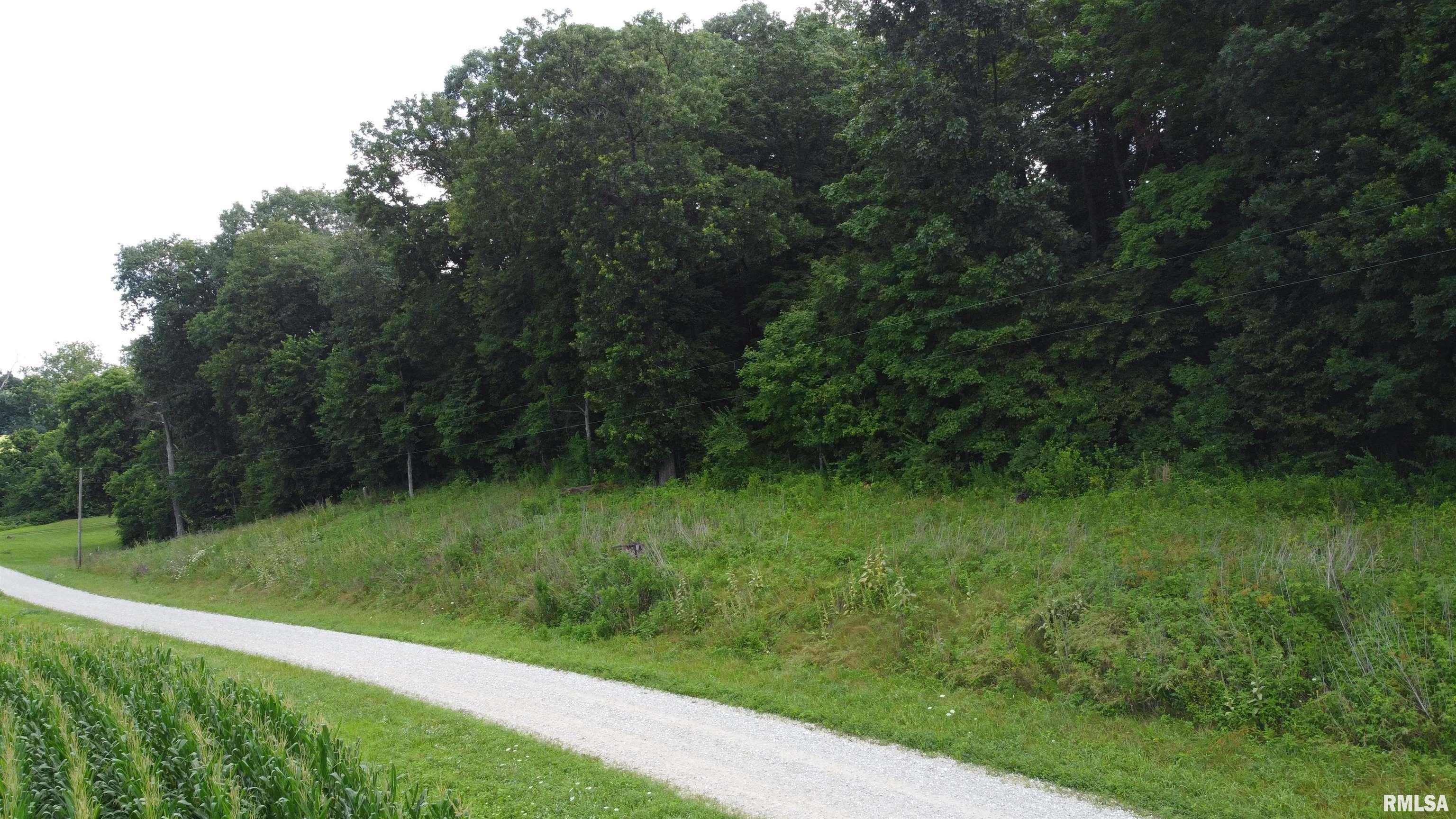 0 205th Street Kinderhook, IL 62345 - Photo 48 of 49