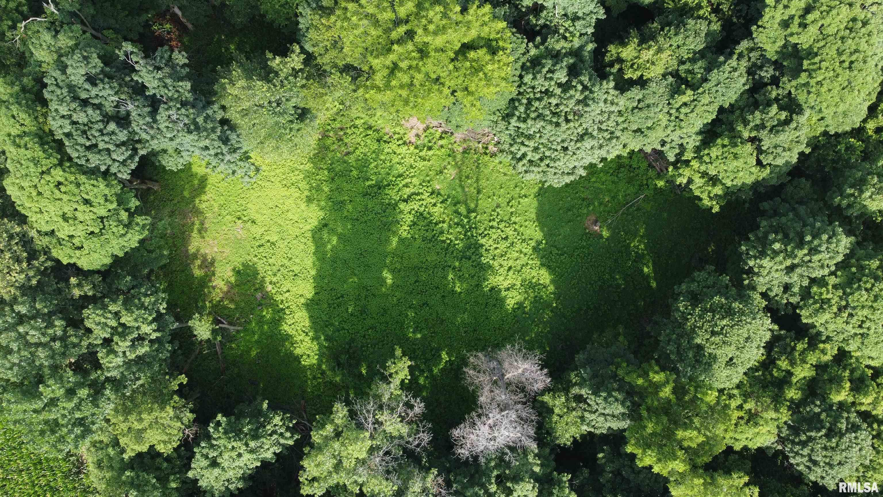 0 205th Street Kinderhook, IL 62345 - Photo 5 of 49