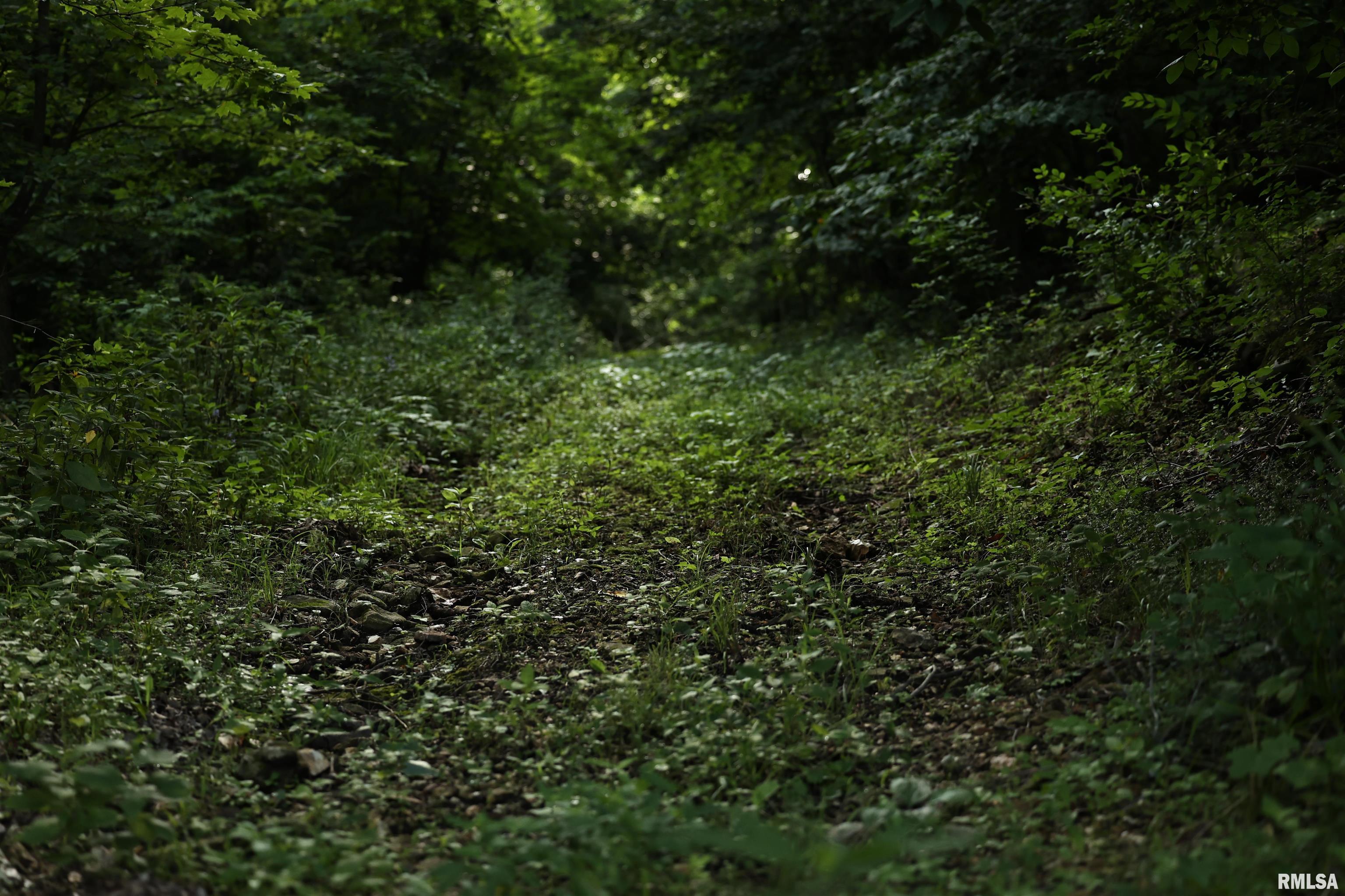 0 205th Street Kinderhook, IL 62345 - Photo 6 of 49