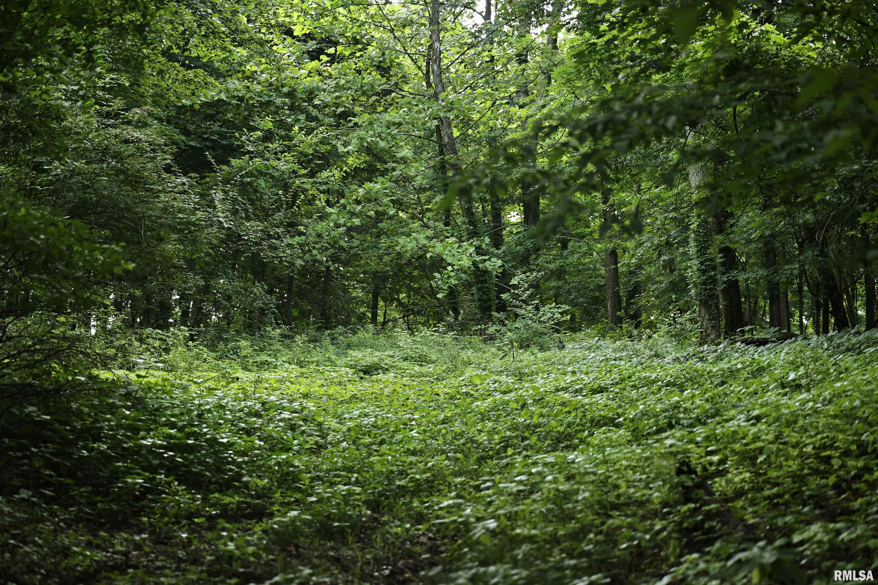 0 205th Street Kinderhook, IL 62345 - Photo 8 of 49