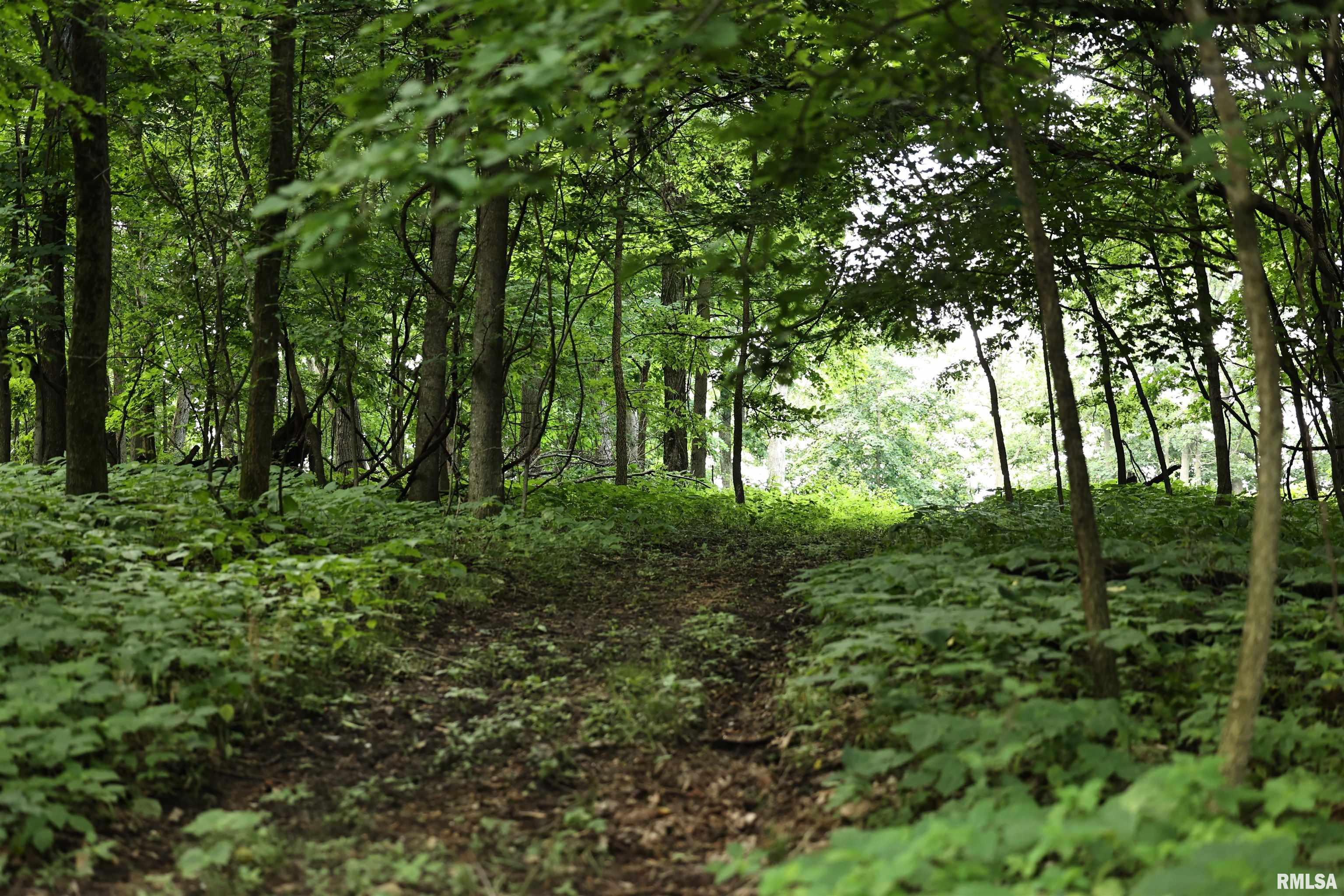 0 205th Street Kinderhook, IL 62345 - Photo 9 of 49